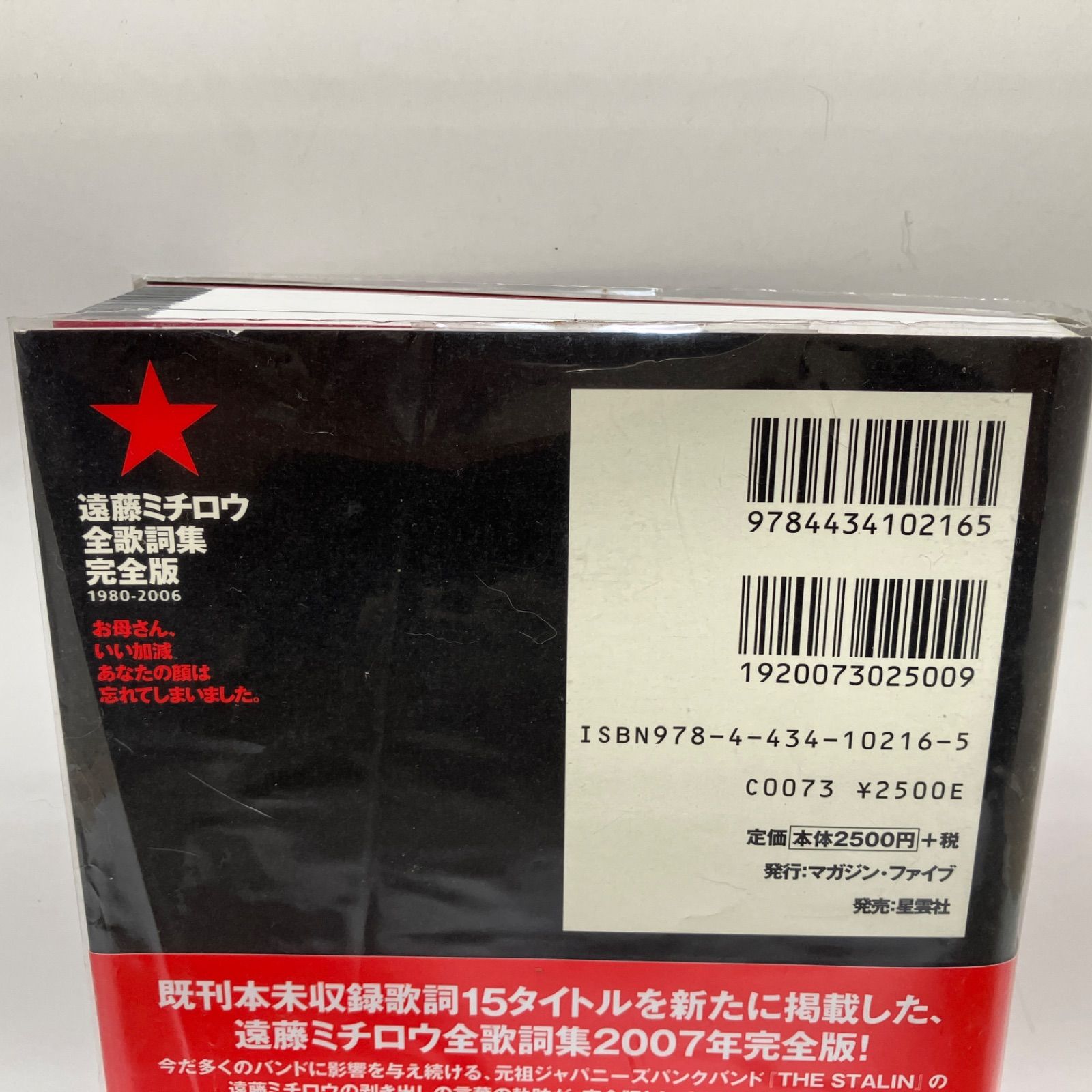 遠藤ミチロウ全歌詞集 : お母さん、いい加減あなたの顔は忘れてしまい