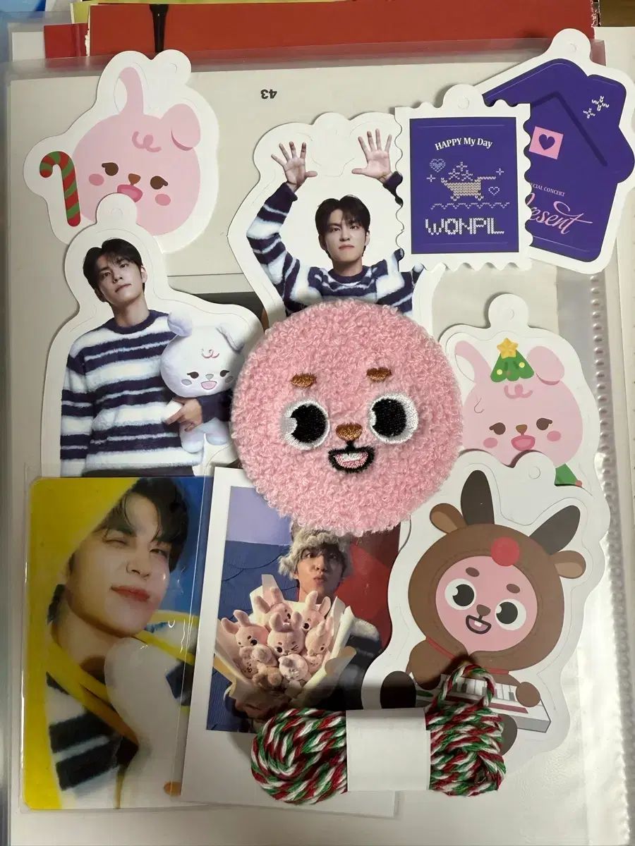 DAY6（デイシックス）ウォンピル（WONPIL）フォトセット PHOTO SET