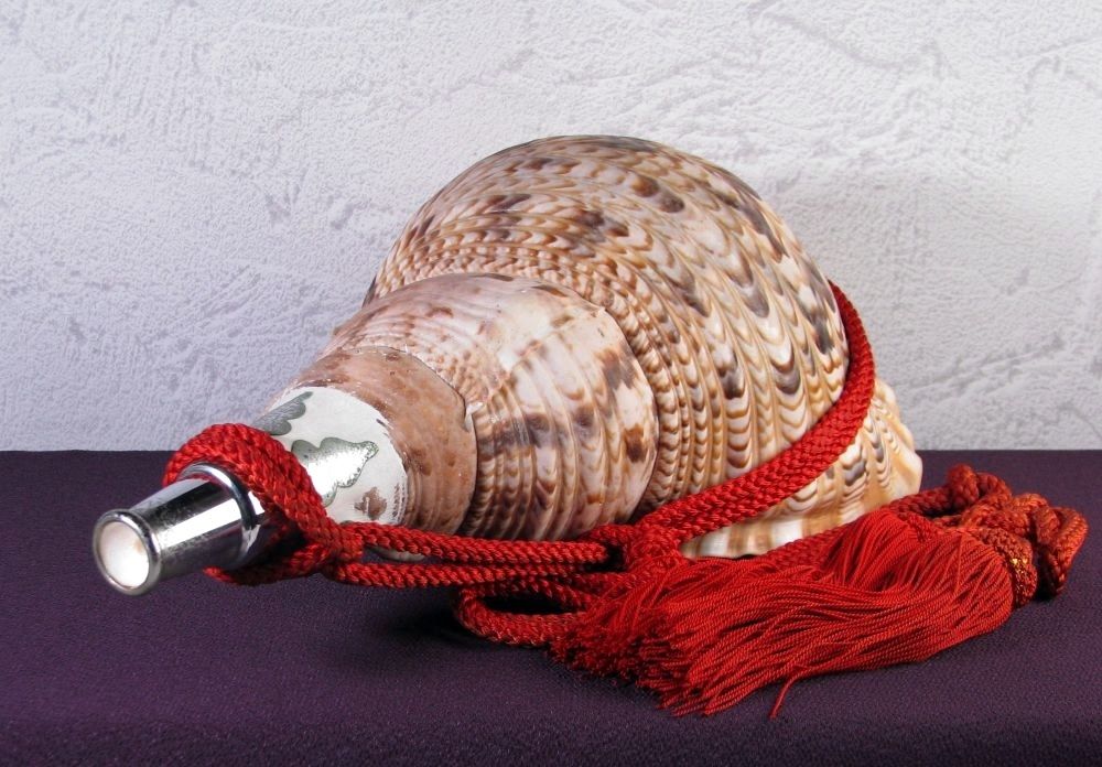 法螺貝 ホラガイ 大型 幅：40cm 和楽器 極美品 山伏道具/26c004 - メルカリ