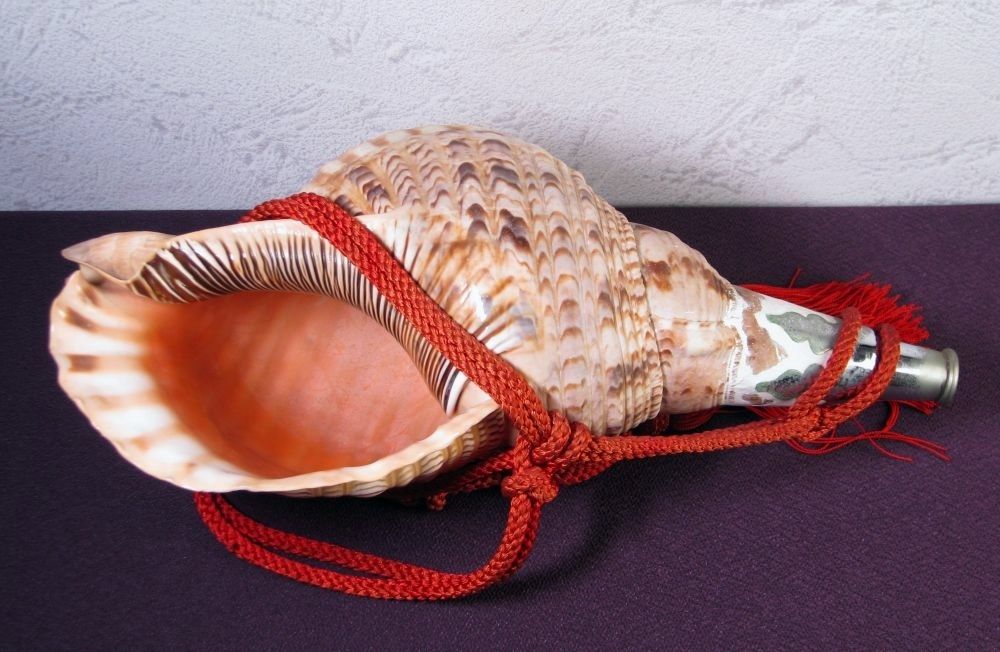 法螺貝 ホラガイ 大型 幅：40cm 和楽器 極美品 山伏道具/26c004 - メルカリ