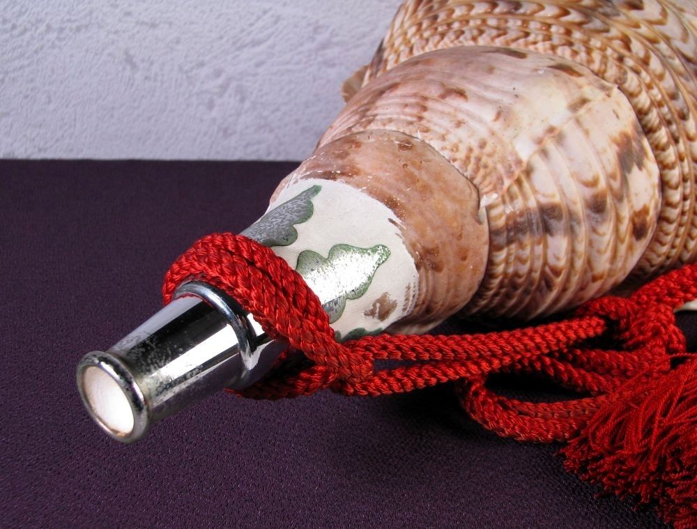 法螺貝 ホラガイ 大型 幅：40cm 和楽器 極美品 山伏道具/26c004 - メルカリ