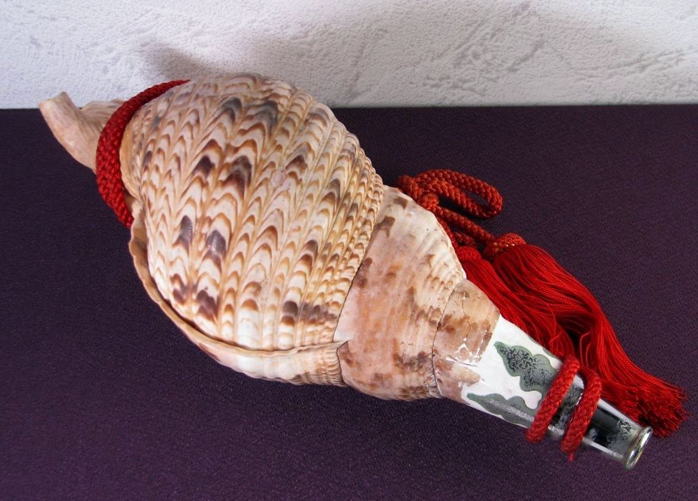 法螺貝 ホラガイ 大型 幅：40cm 和楽器 極美品 山伏道具/26c004 - メルカリ