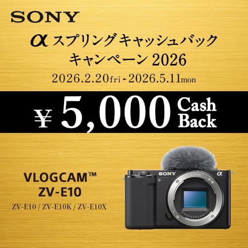 SONY(ソニー) Vlog用カメラ レンズ交換式VLOGCAM APS-C ミラーレス一眼