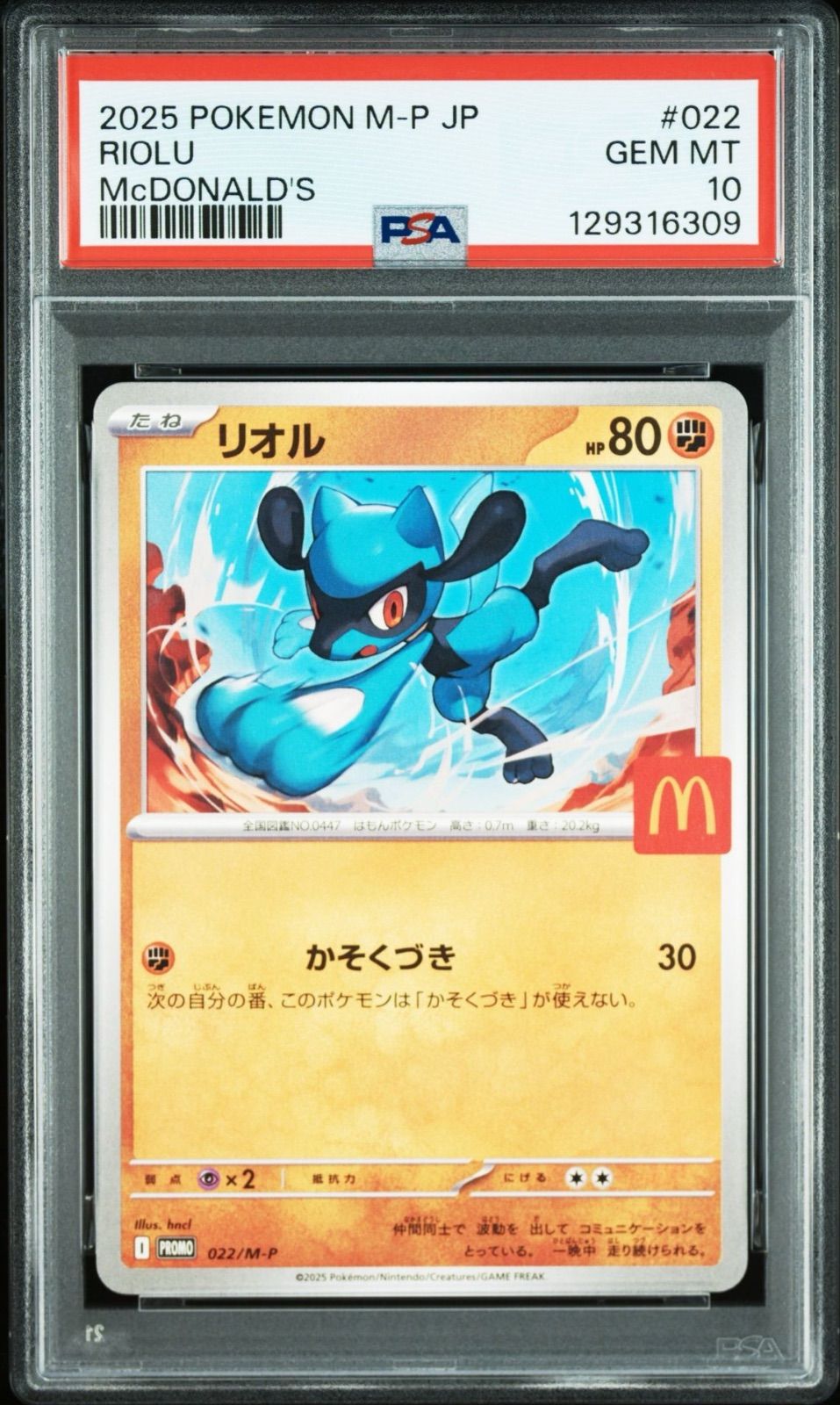 PSA10】ポケモンカード マクドナルド プロモ ニャオハ ホゲータ