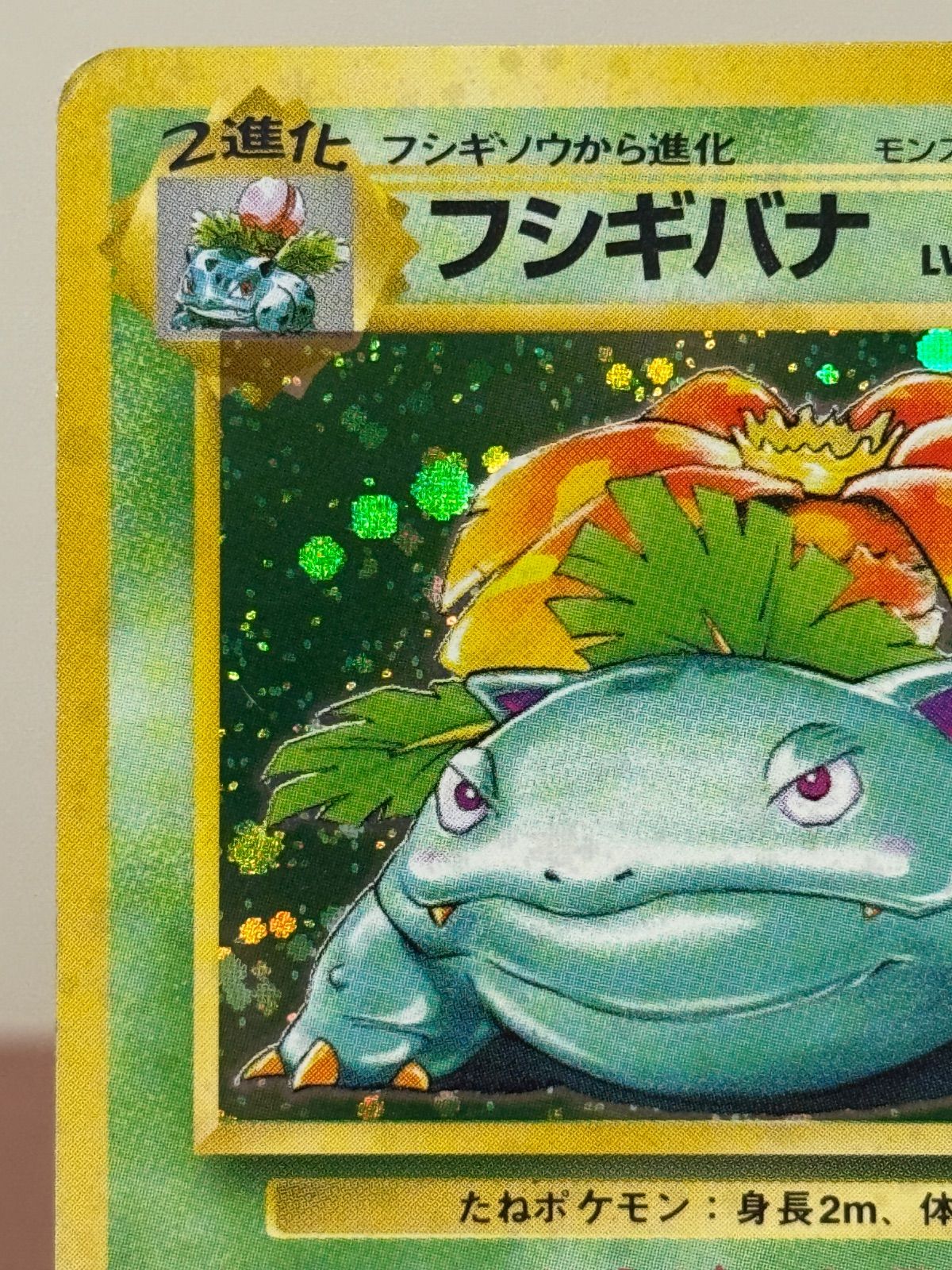 旧裏】フシギバナ マークあり LV.67 第1弾再版 ☆ No.003 ポケモン
