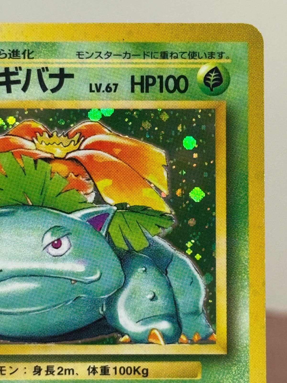 旧裏】フシギバナ LV.67 第1弾再版 ☆ No.003 ポケモンカード【送料