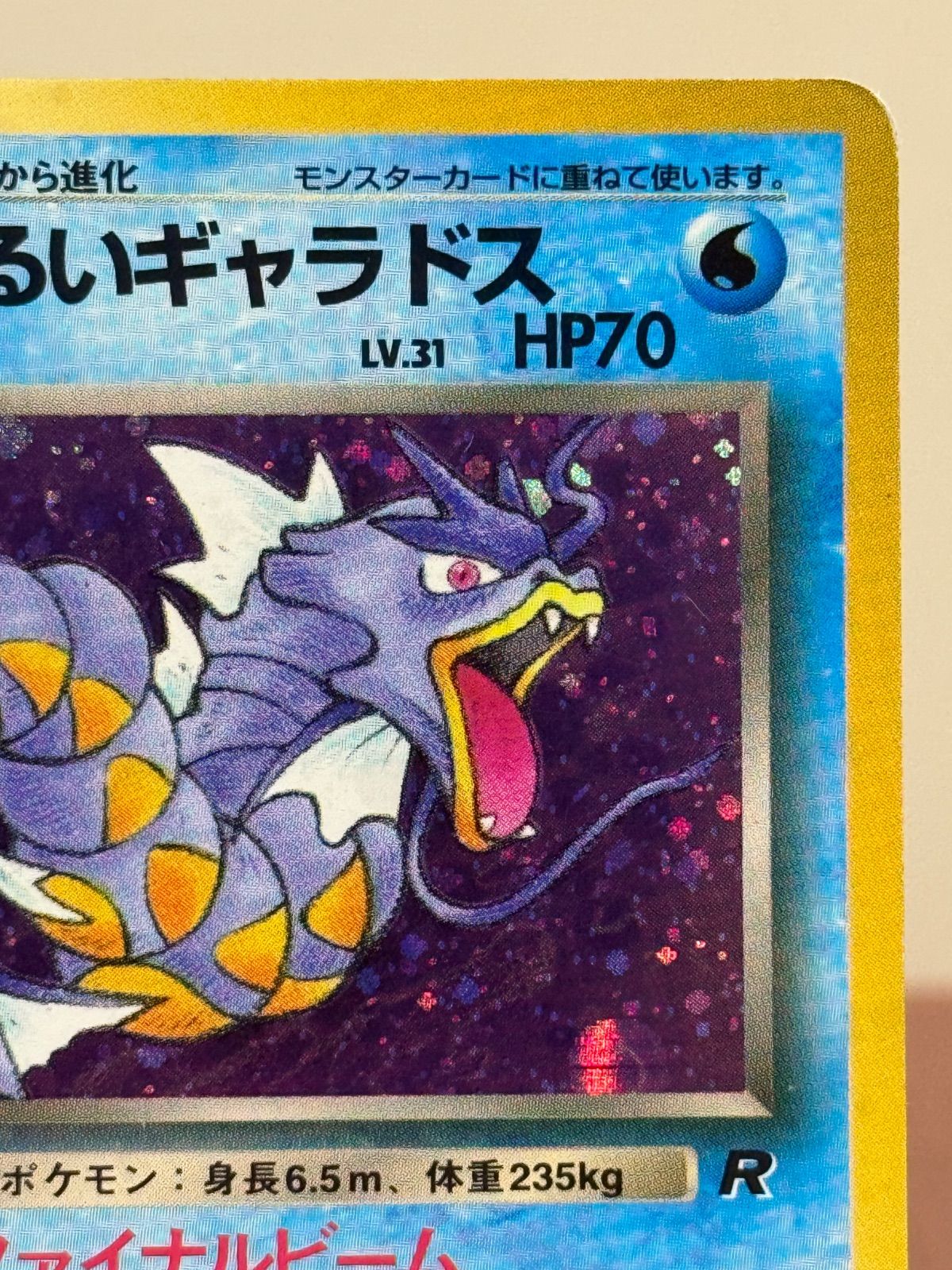 旧裏】わるいギャラドス LV.31 ☆ No.130 ロケット団 ポケモンカード