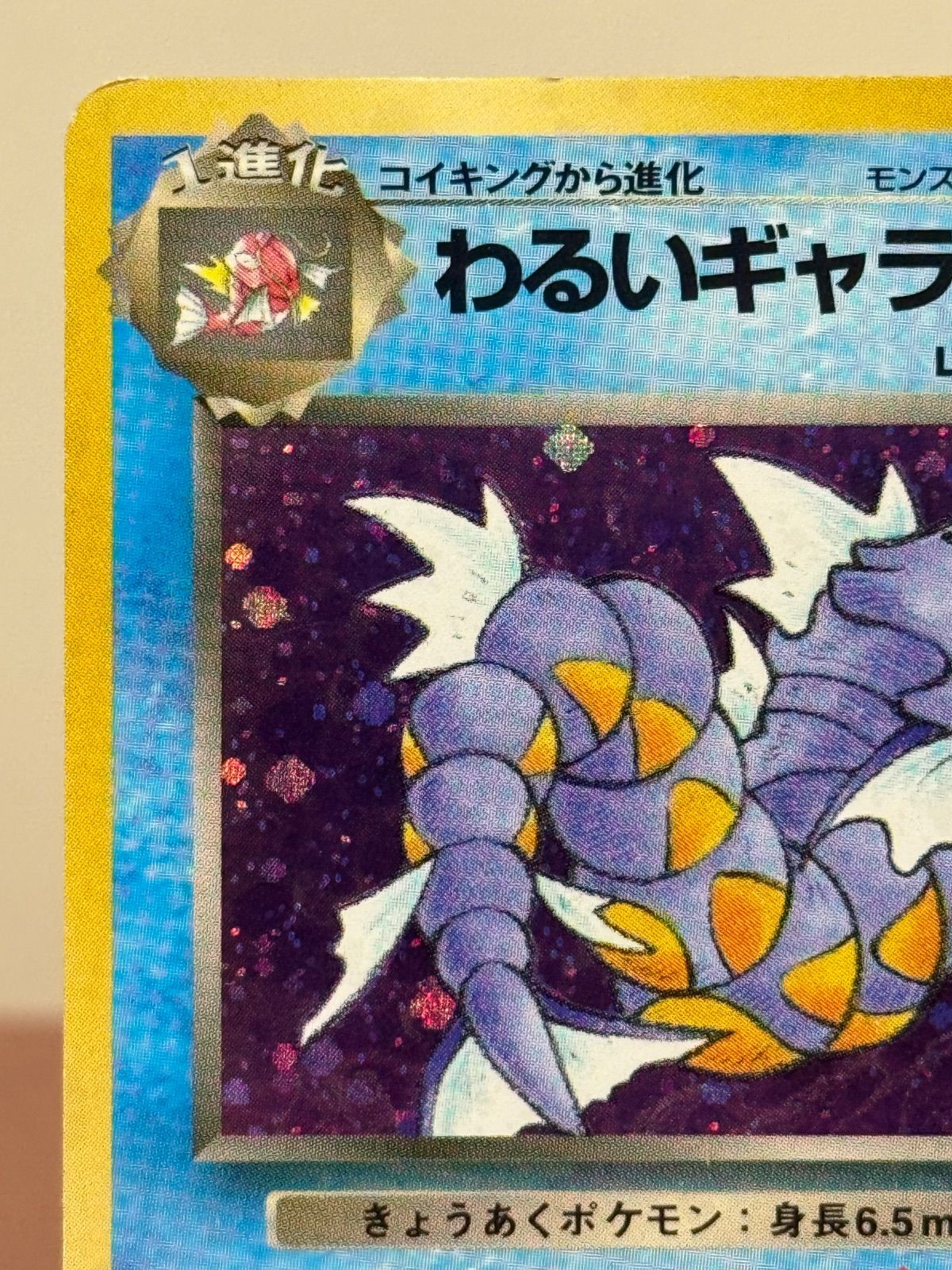 旧裏】わるいギャラドス LV.31 ☆ No.130 ロケット団 ポケモンカード