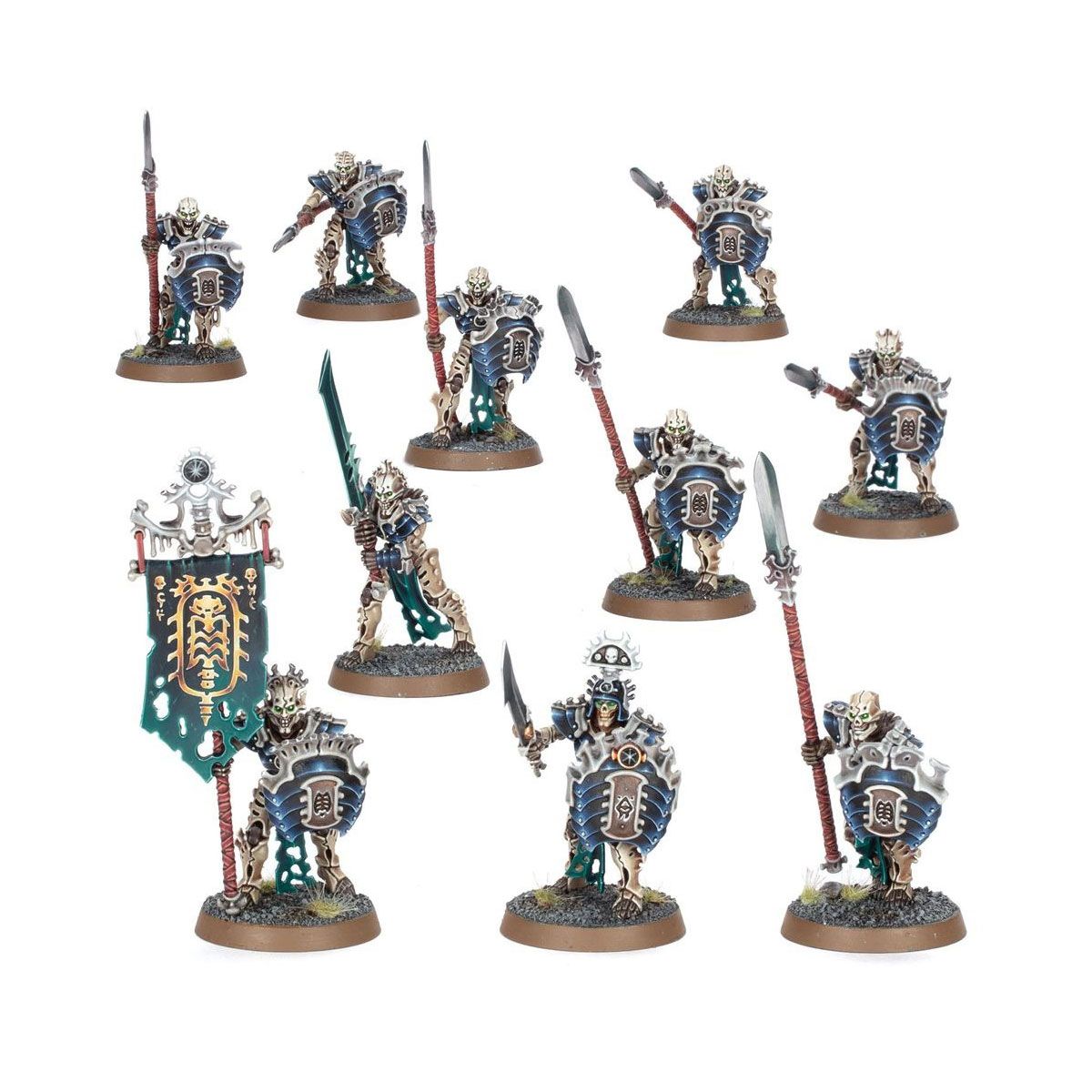 ウォーハンマー エイジ・オヴ・シグマー AoS 名高き連隊 オシアーク