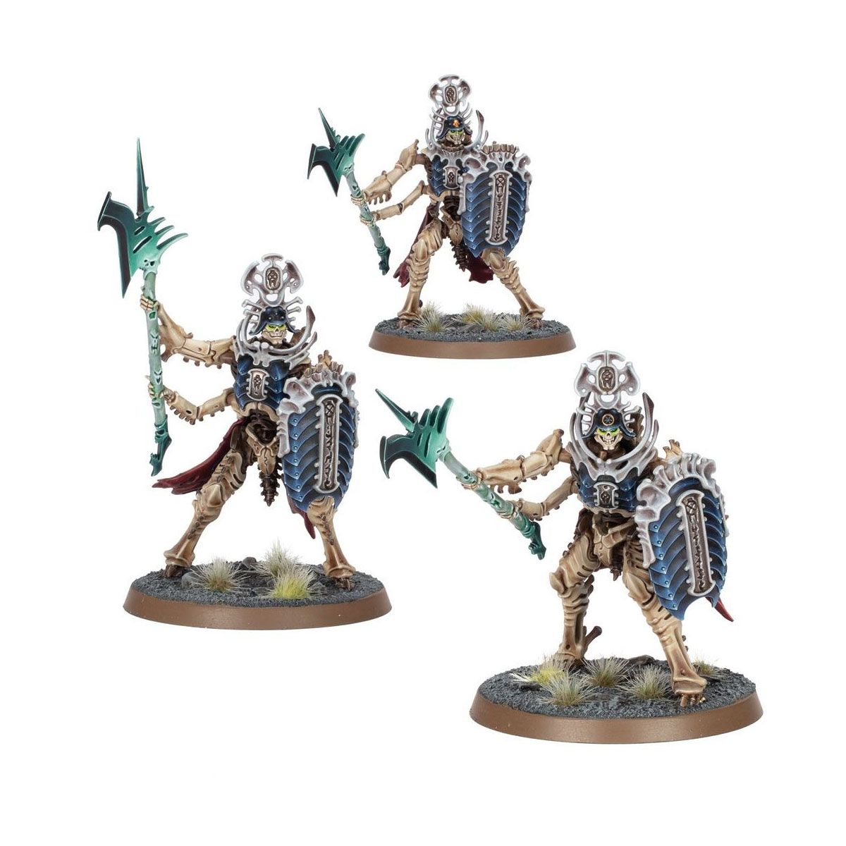 ウォーハンマー エイジ・オヴ・シグマー AoS 名高き連隊 オシアーク