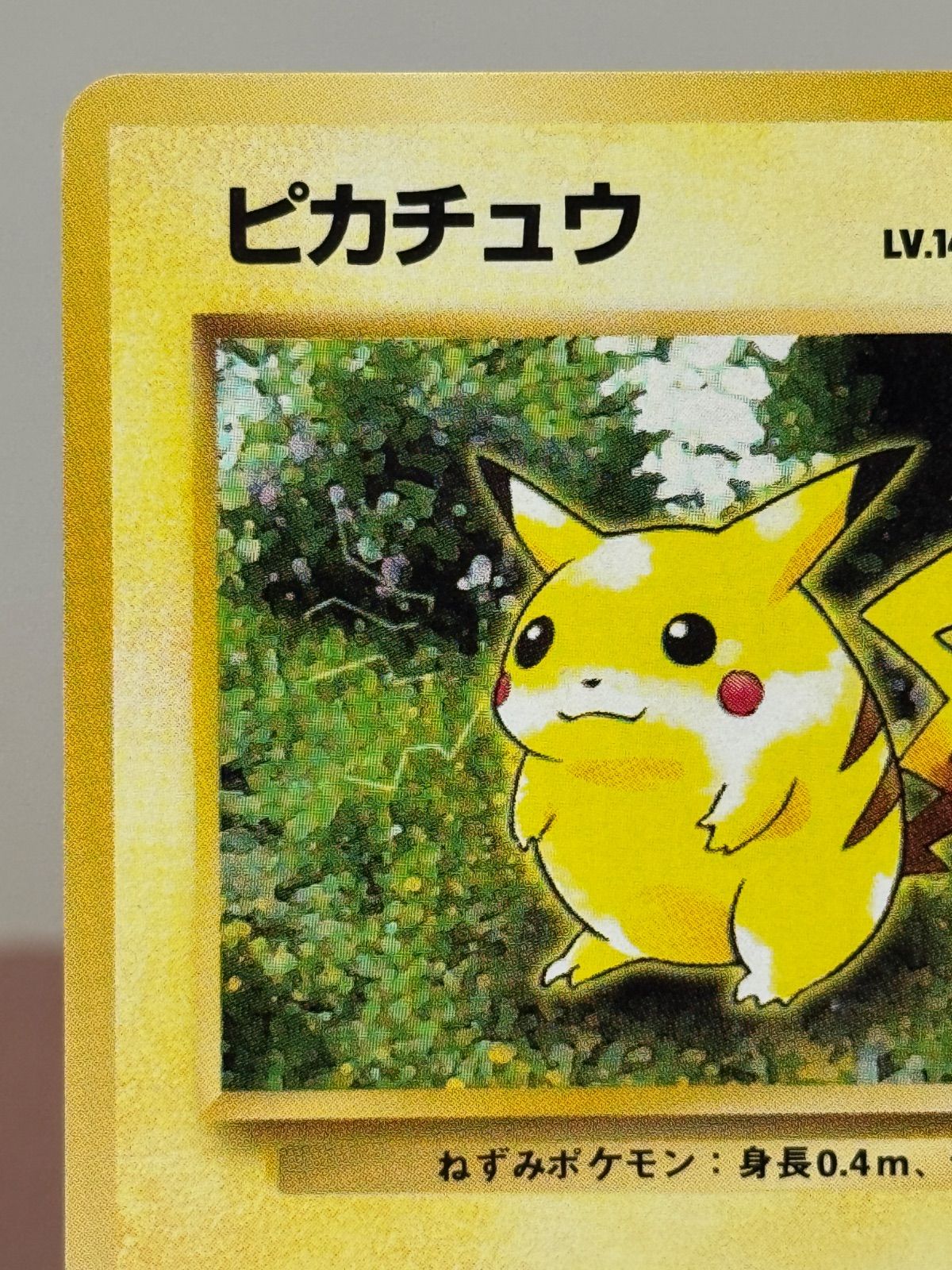 旧裏】ピカチュウ LV.14 ○ No.025 ポケモンジャングル ポケモンカード