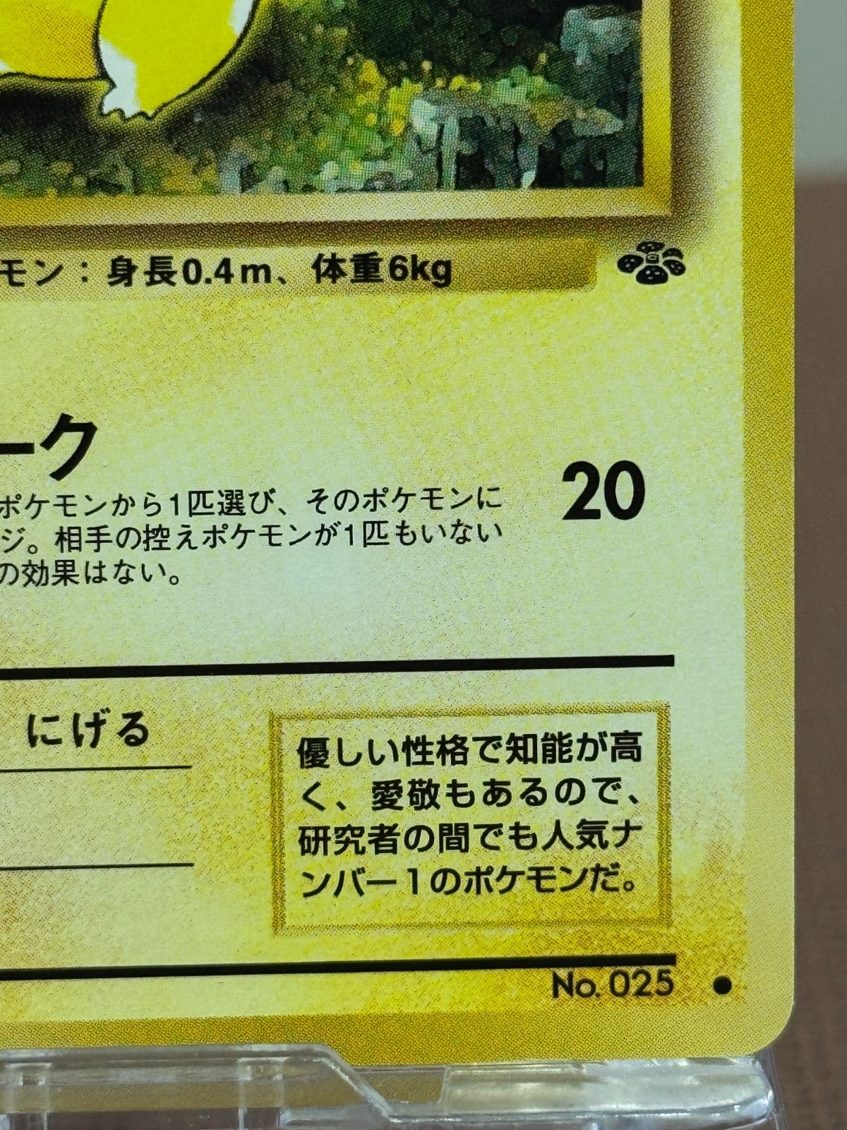 旧裏】ピカチュウ LV.14 ○ No.025 ポケモンジャングル ポケモンカード