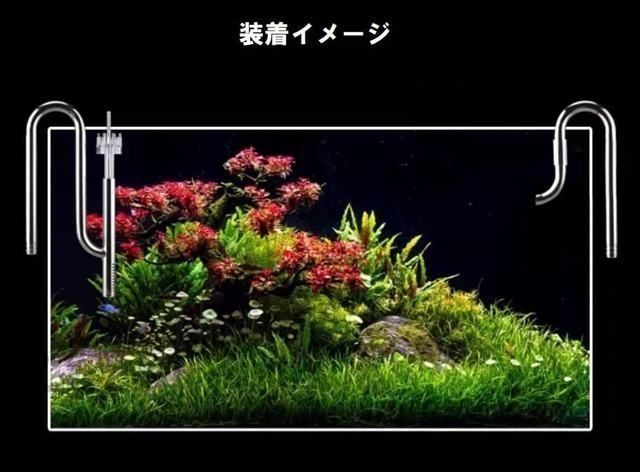 ☆水槽 パイプ 熱帯魚 アクアリウム 外部フィルター用 ステンレスパイプ 油膜取り 給排水セット 水質改善 360度回転 取り外し可能 内径12mmホース対応