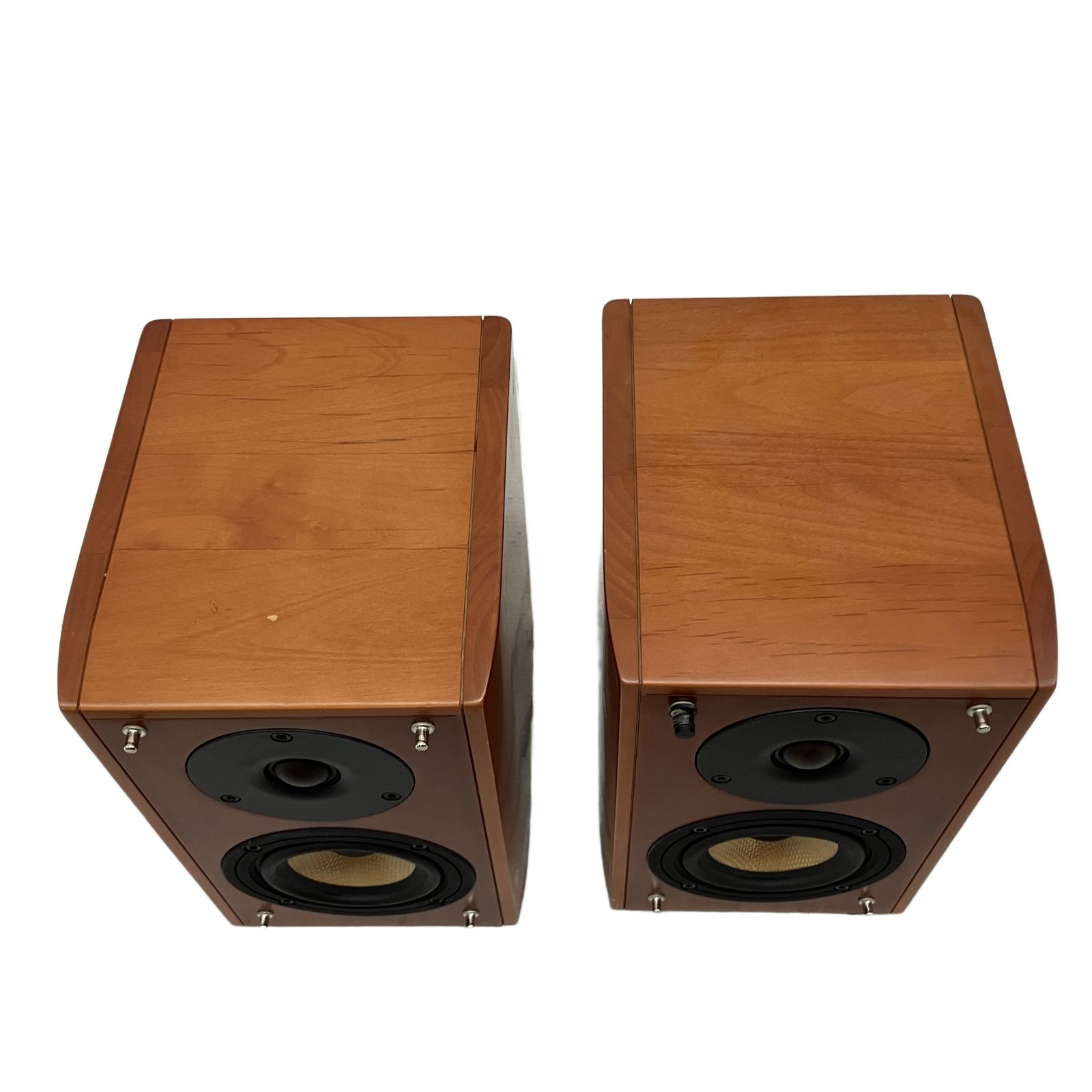 Pioneer S-A4SPT-VP パイオニア S-A4SPT スピーカー 2WAYブック