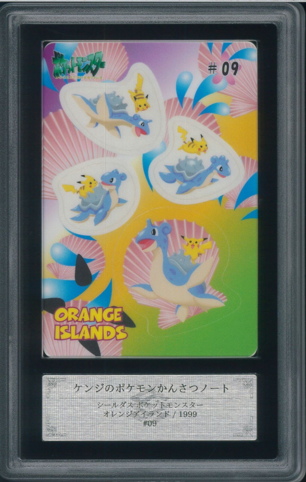 ARS10+ ケンジのポケモンかんさつノート シールダス