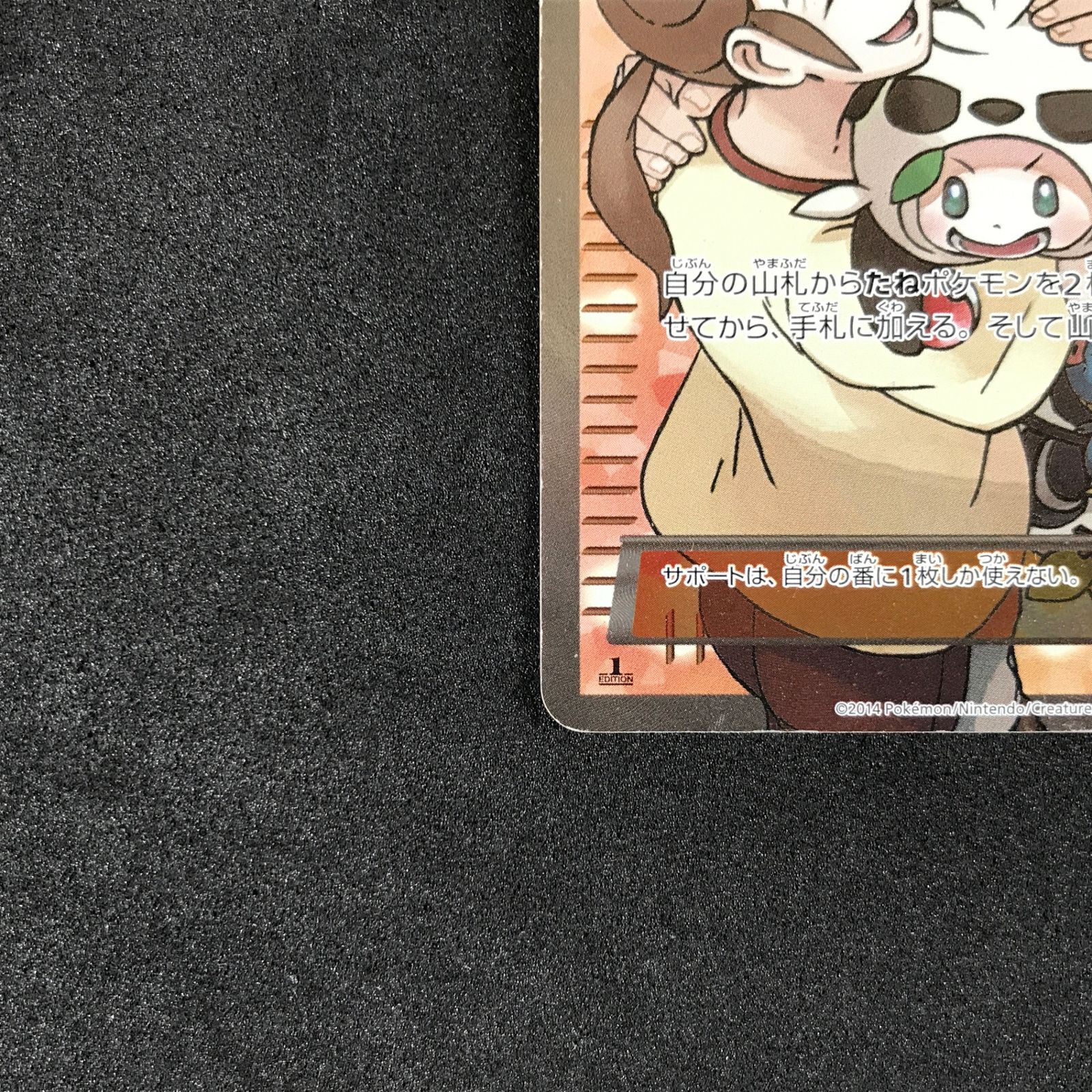 ☆ポケモンカードゲーム ワイルドブレイズ 087/080 ポケモンだいすき 