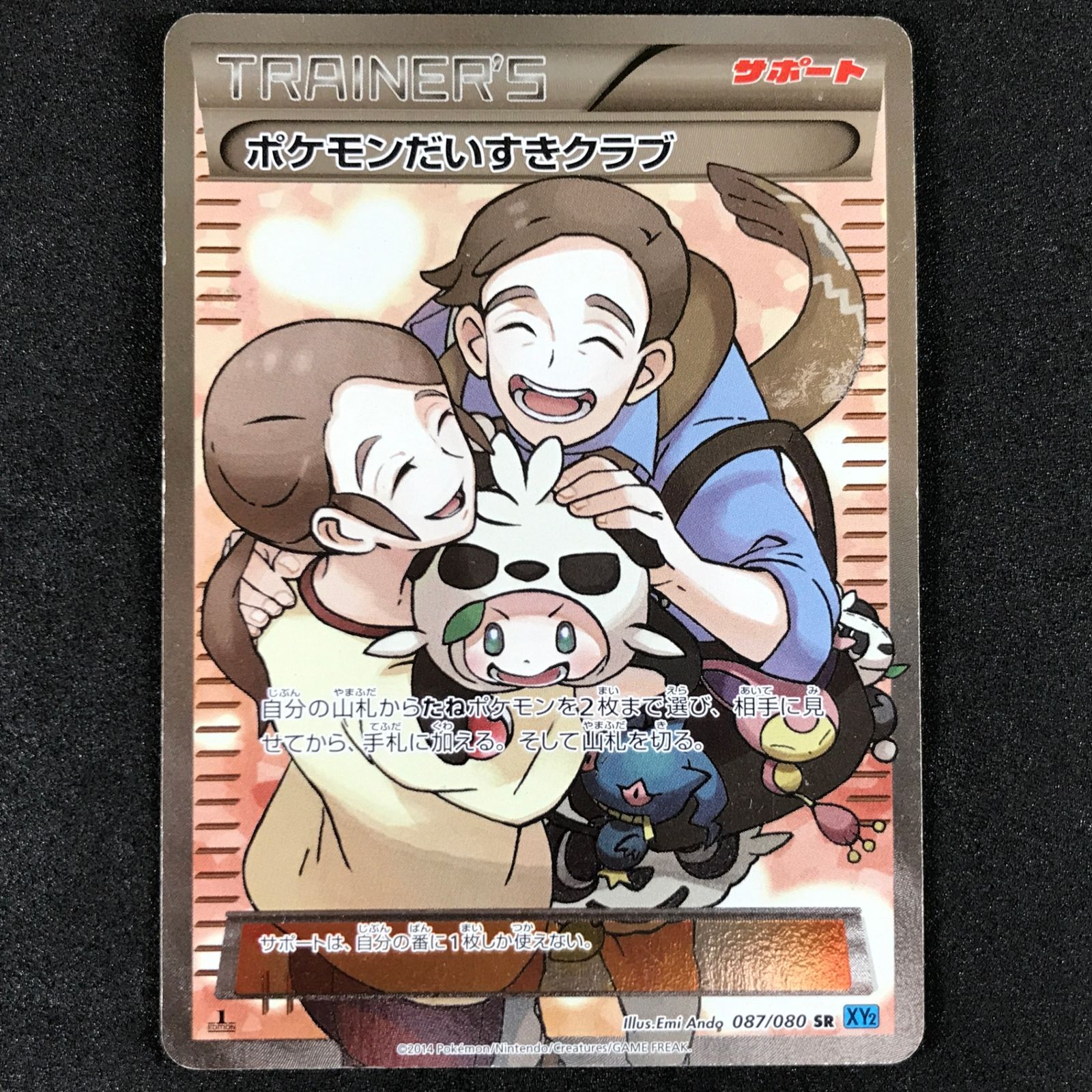 ☆ポケモンカードゲーム ワイルドブレイズ 087/080 ポケモンだいすき