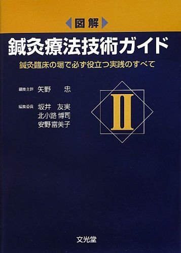 図解 鍼灸療法技術ガイド II: 鍼灸臨床の場で必ず役立つ実践のすべて