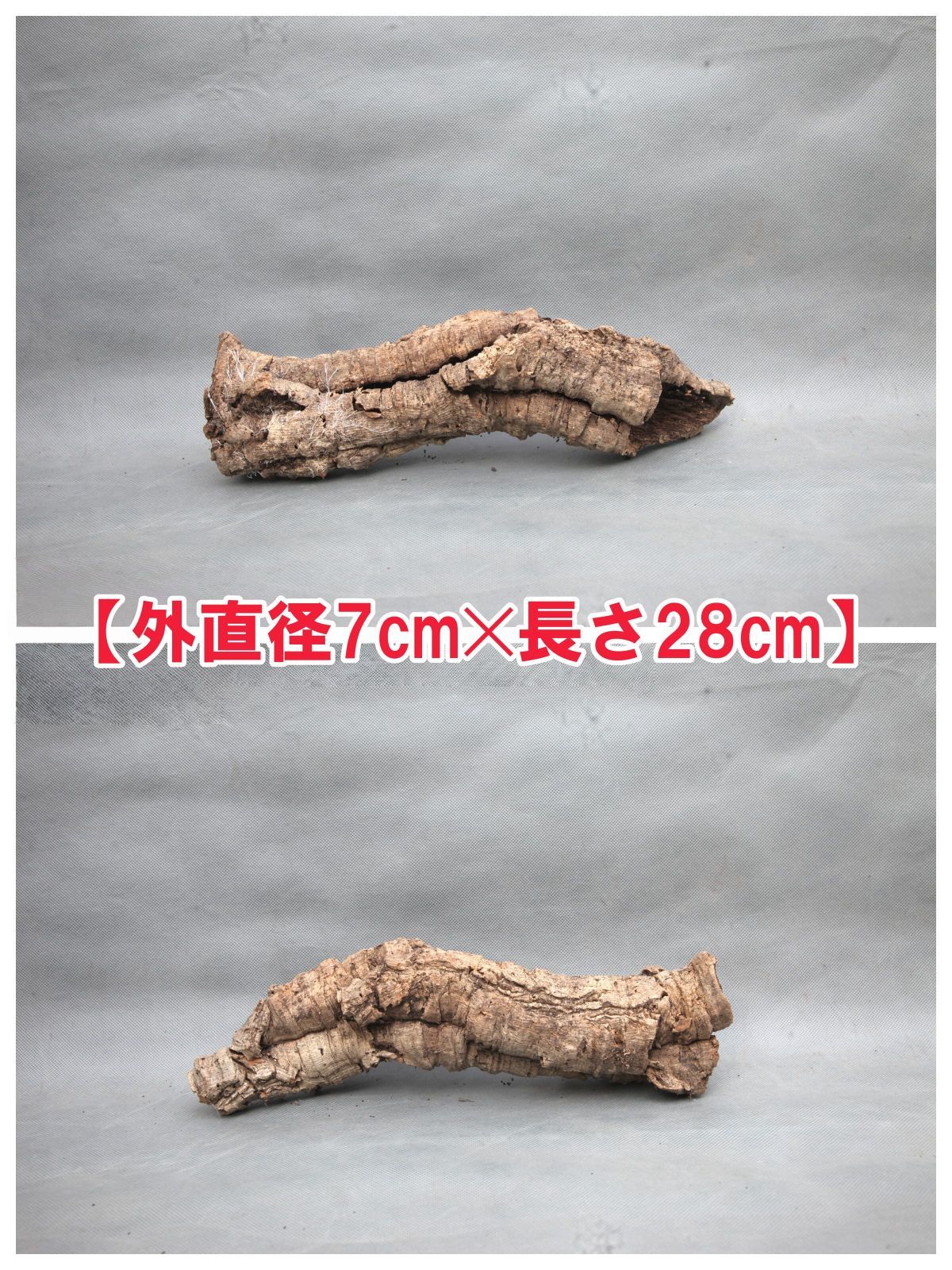 W627 ポルトガル産 キャノンコルク コルク樹皮 コルク板 バージン