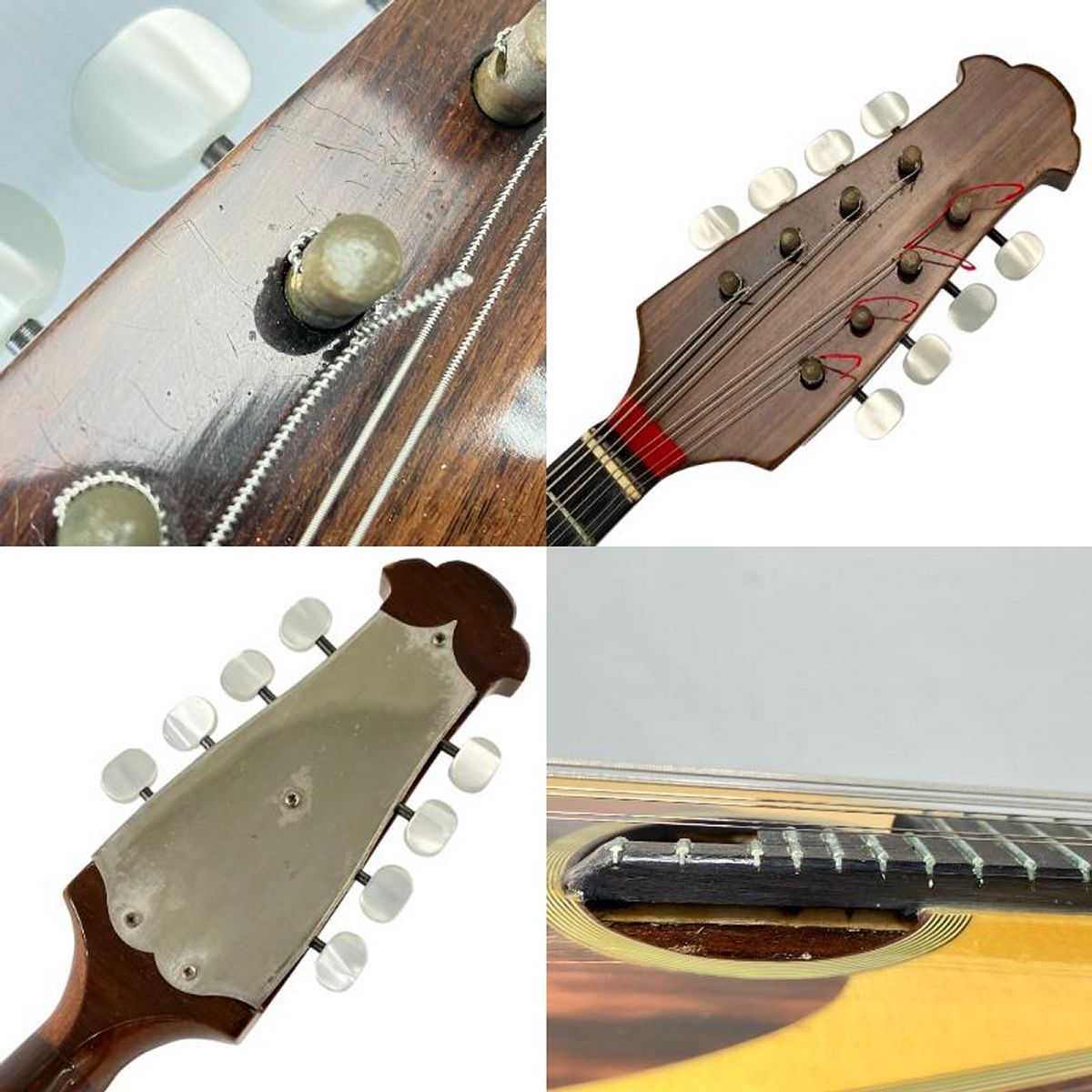 Raffaele Calace クラシコC Anno 2005 マンドリン 弦楽器 ラファエレ