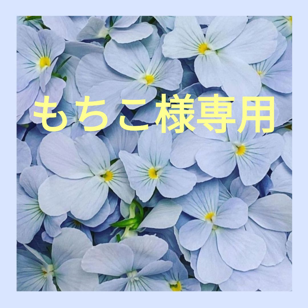 もちこ様専用 - メルカリ もちこ様専用 - メルカリ