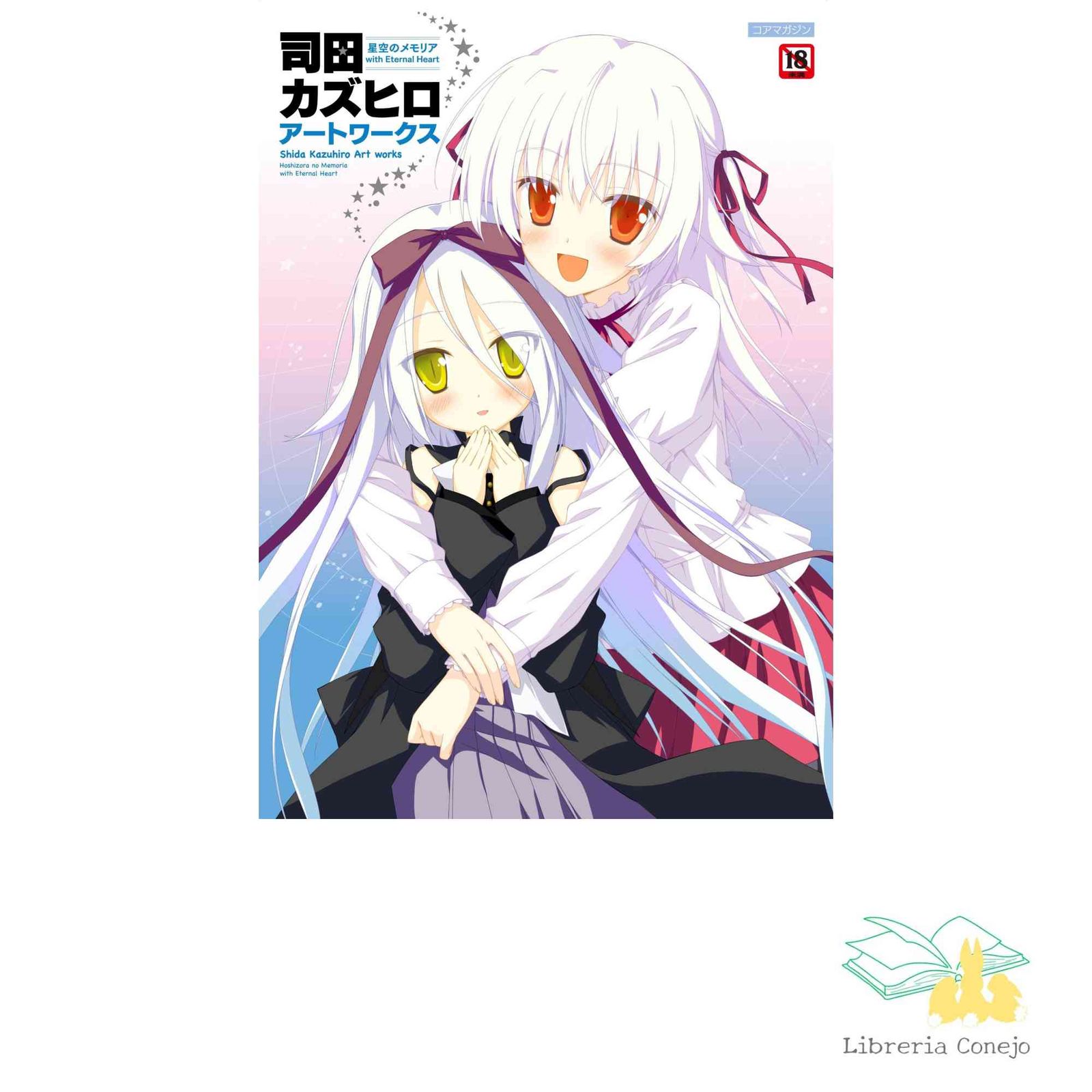 司田カズヒロアートワークス 星空のメモリア with Eternal Heart [大型