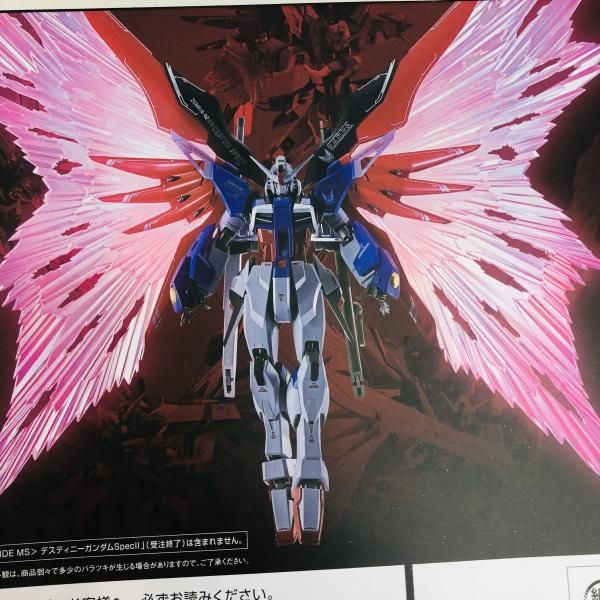 中古】未開封)METAL ROBOT魂 ＜SIDE MS＞ デスティニーガンダムSpecII