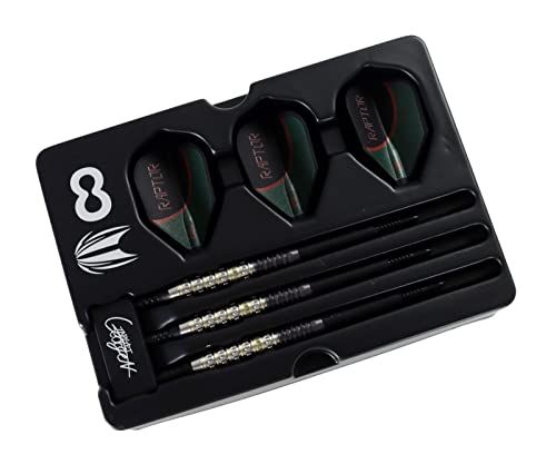 西谷譲二モデル