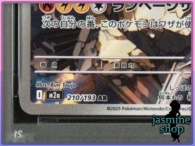 PSA10】Nのゼクロム AR 210/193 メガドリームex PSAケース専用スリーブ