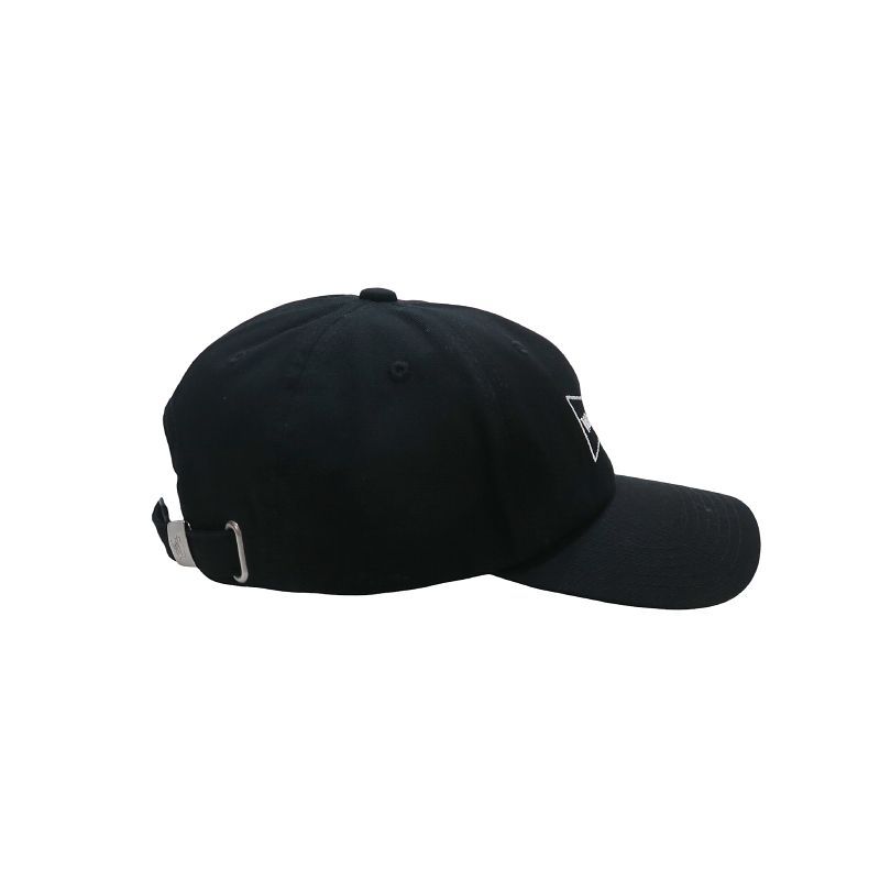 Wasted Youth ウェイステッド ユース 6 PANEL CAP WY27GD001 6パネル