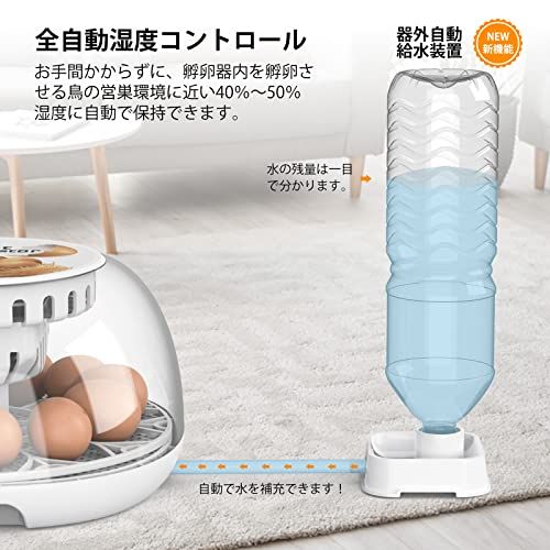 LifeBasis 自動孵卵器 インキュベーター 鳥類専用ふ卵器 自動転卵式