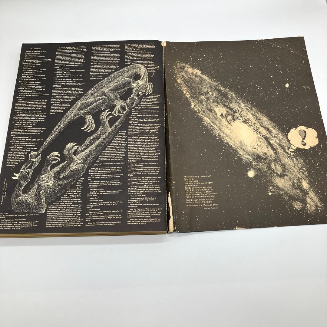 ラストホールアースカタログ 1971年 ビンテージ　スティーブ ジョブス The Last Whole Earth Catalog 【 ラストホールアースカタログ 全地球