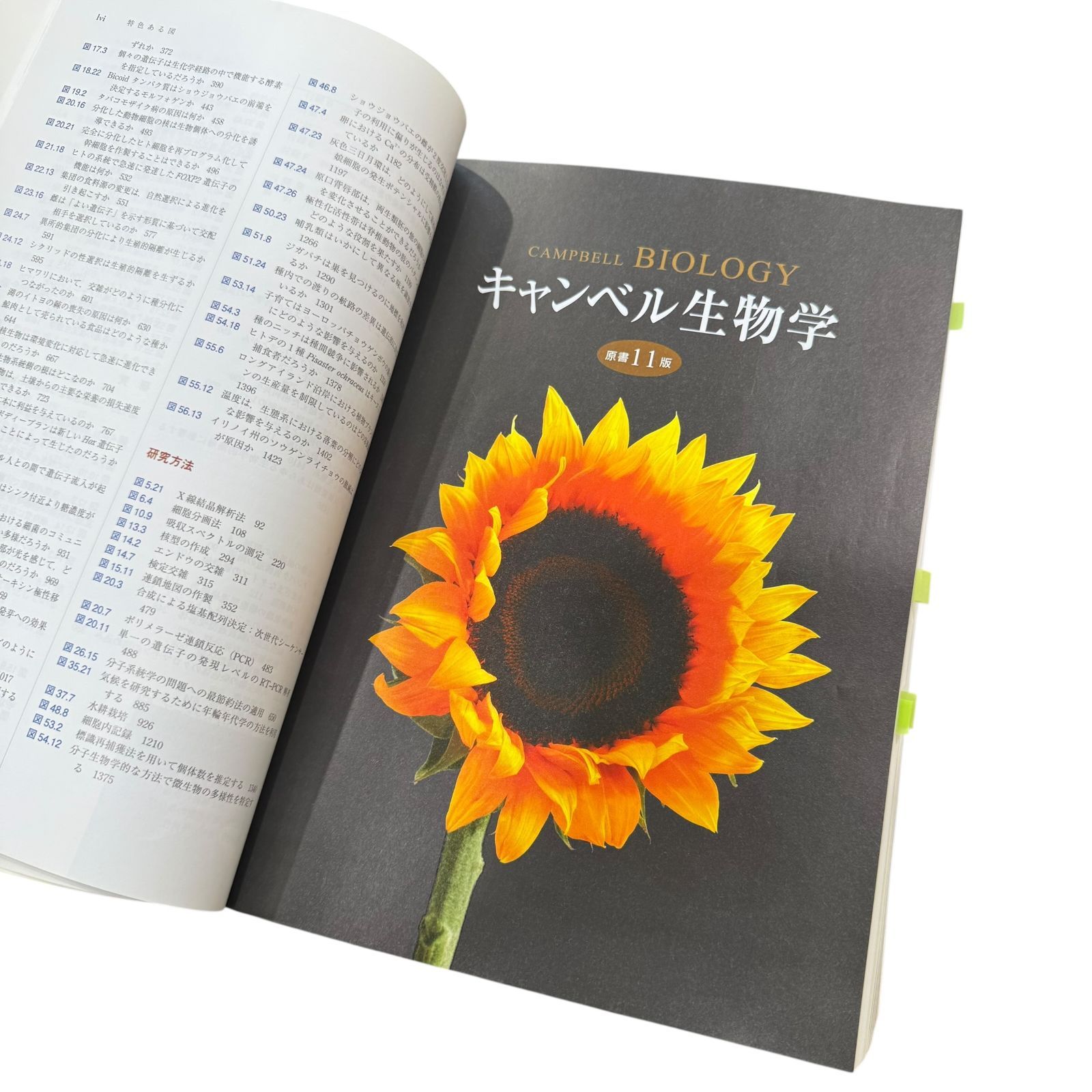 本 キャンベル生物学 第11版 丸善出版 書き込みなし 美品 大学 生物