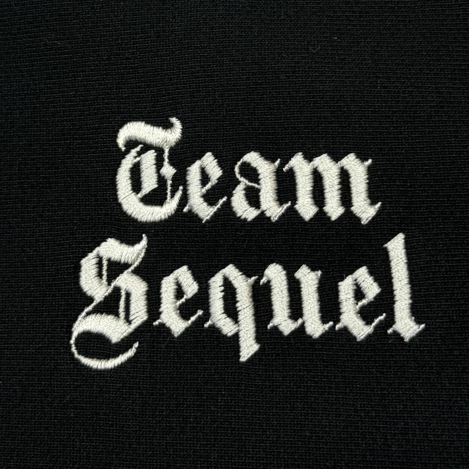 参考上代41800円 SEQUEL 25SS HOODIE スウェットフーディー 刺繍ロゴ