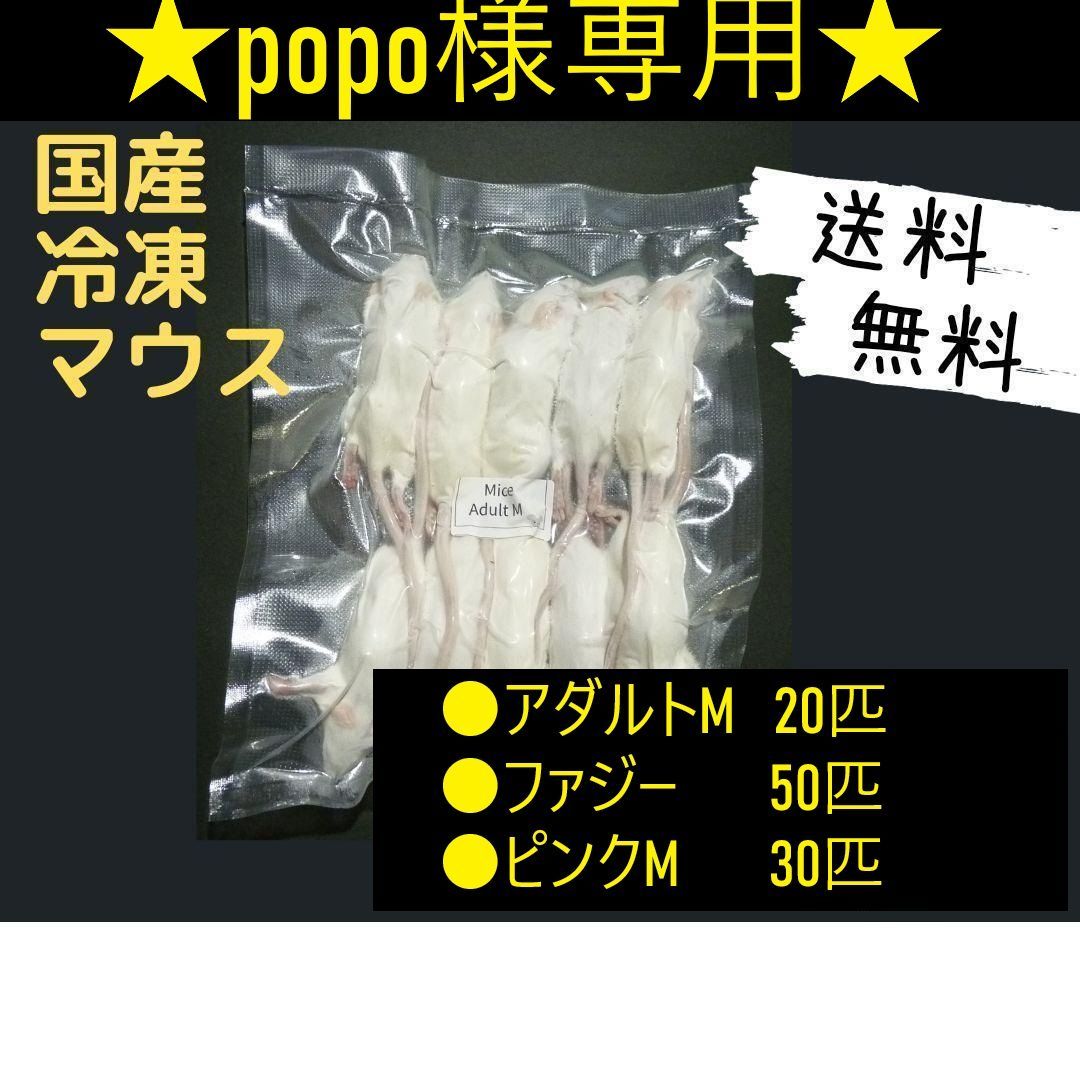 送料無料 国産冷凍アダルトマウス M 50匹 【公式通販】