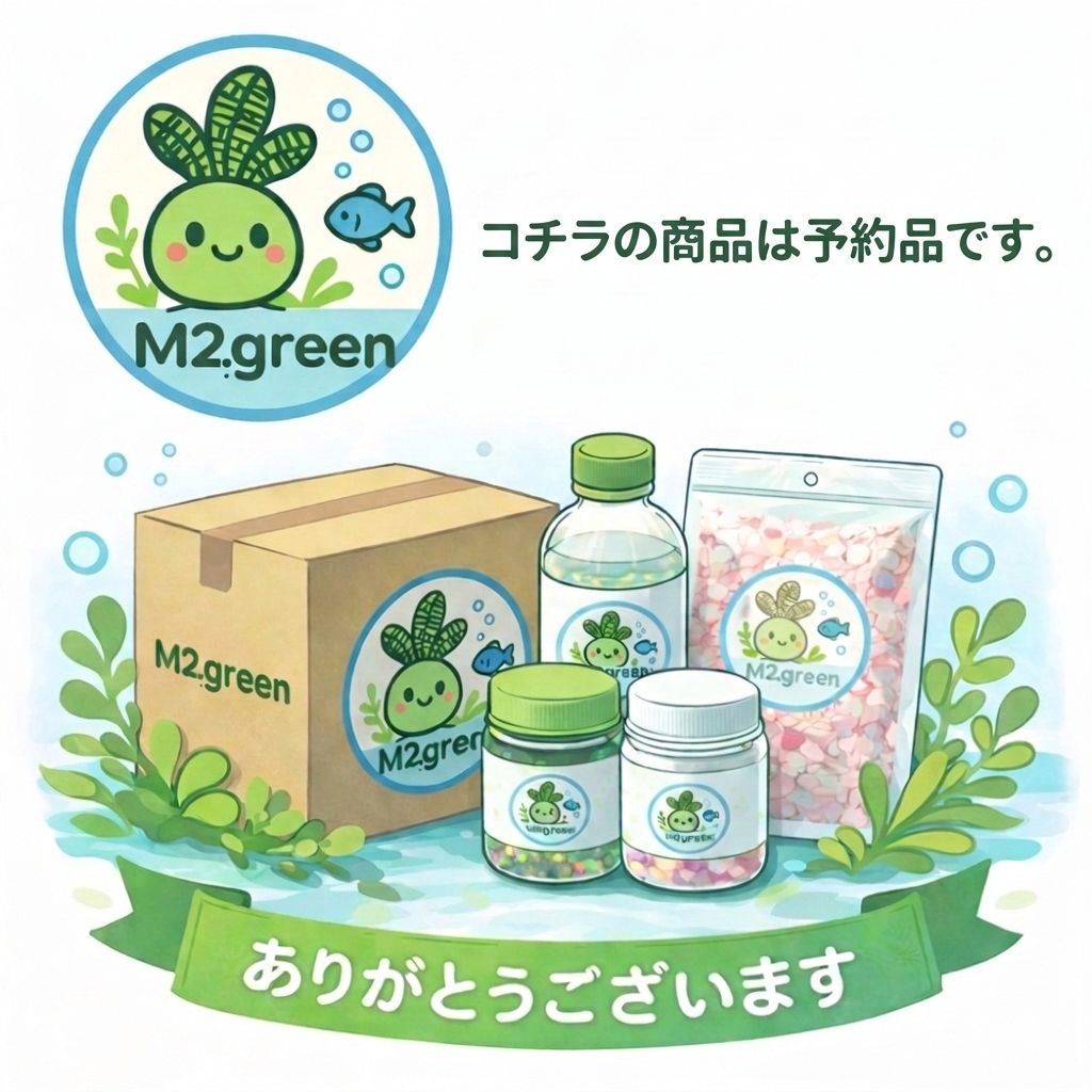 『ご予約受付中！！』組織培養GROWOW!ポゴステモンヘルフェリーマー ブル(無農薬)(1カップ)サンプル画像 - メルカリ