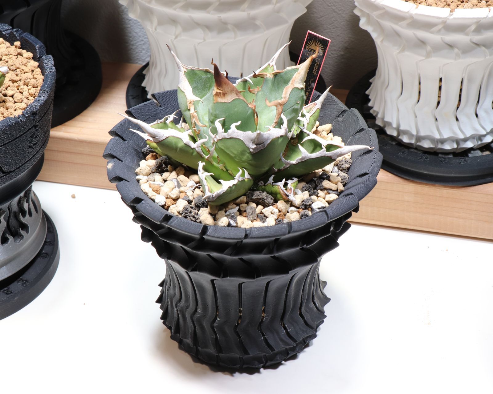 boss出品　黒波-改　5号鉢　6号鉢　植木鉢　作家鉢　アガベ　カクタス 植木鉢 6号鉢｜黒波 改 -Kokuha-（作家鉢・アガベ・多肉植物・観葉植物