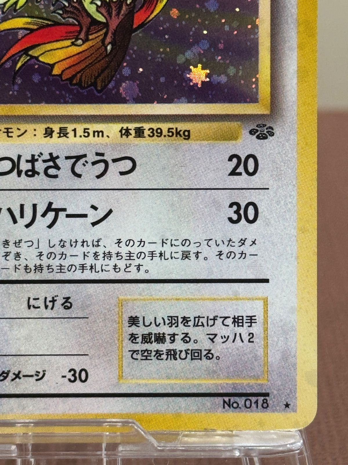 旧裏】ピジョット LV.40 ☆ 旧裏面 No.018 ポケモンジャングル