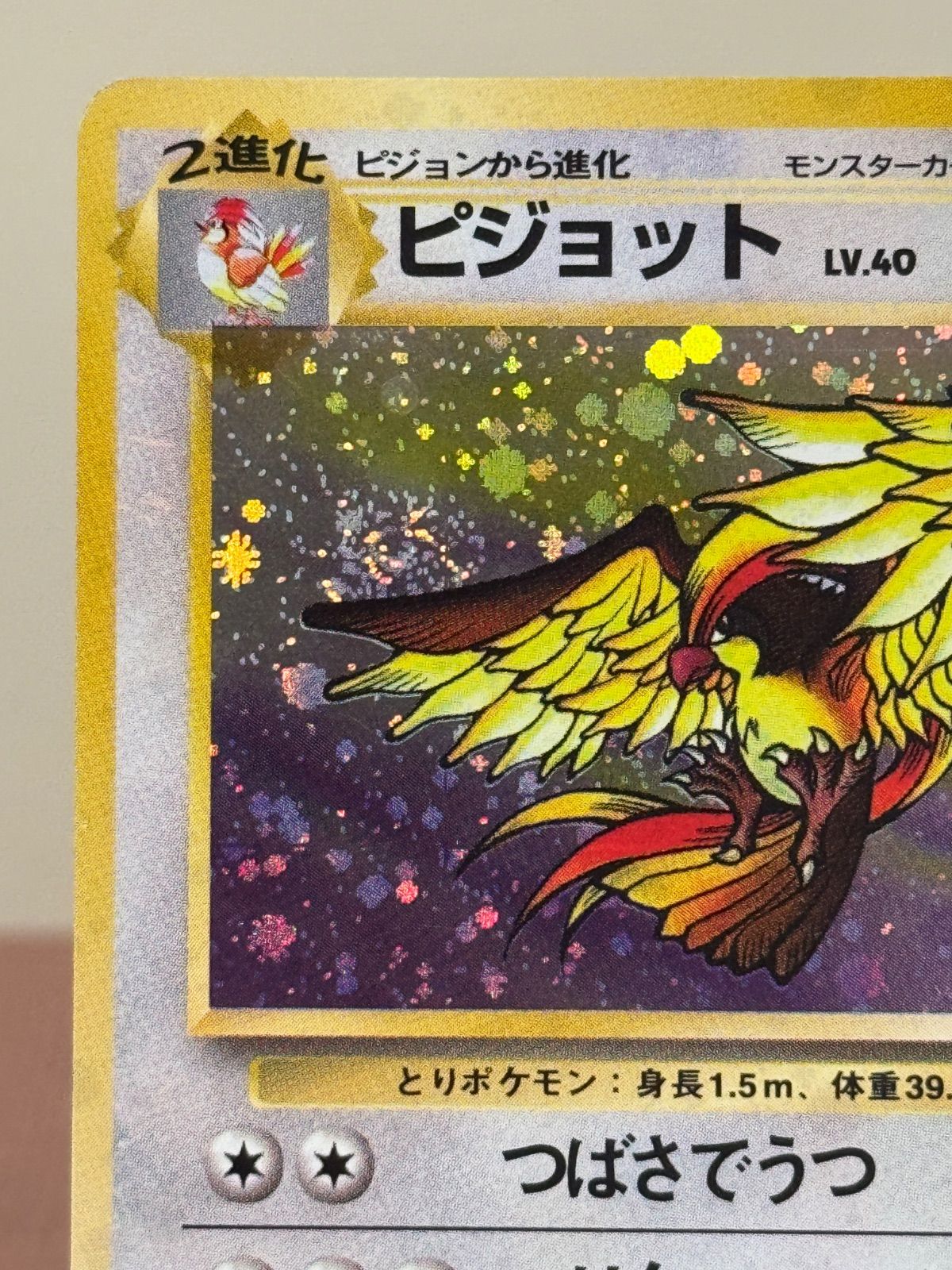 ケモンカード 旧裏 エラーカード スクエアカット ピジョット 【公式通販】