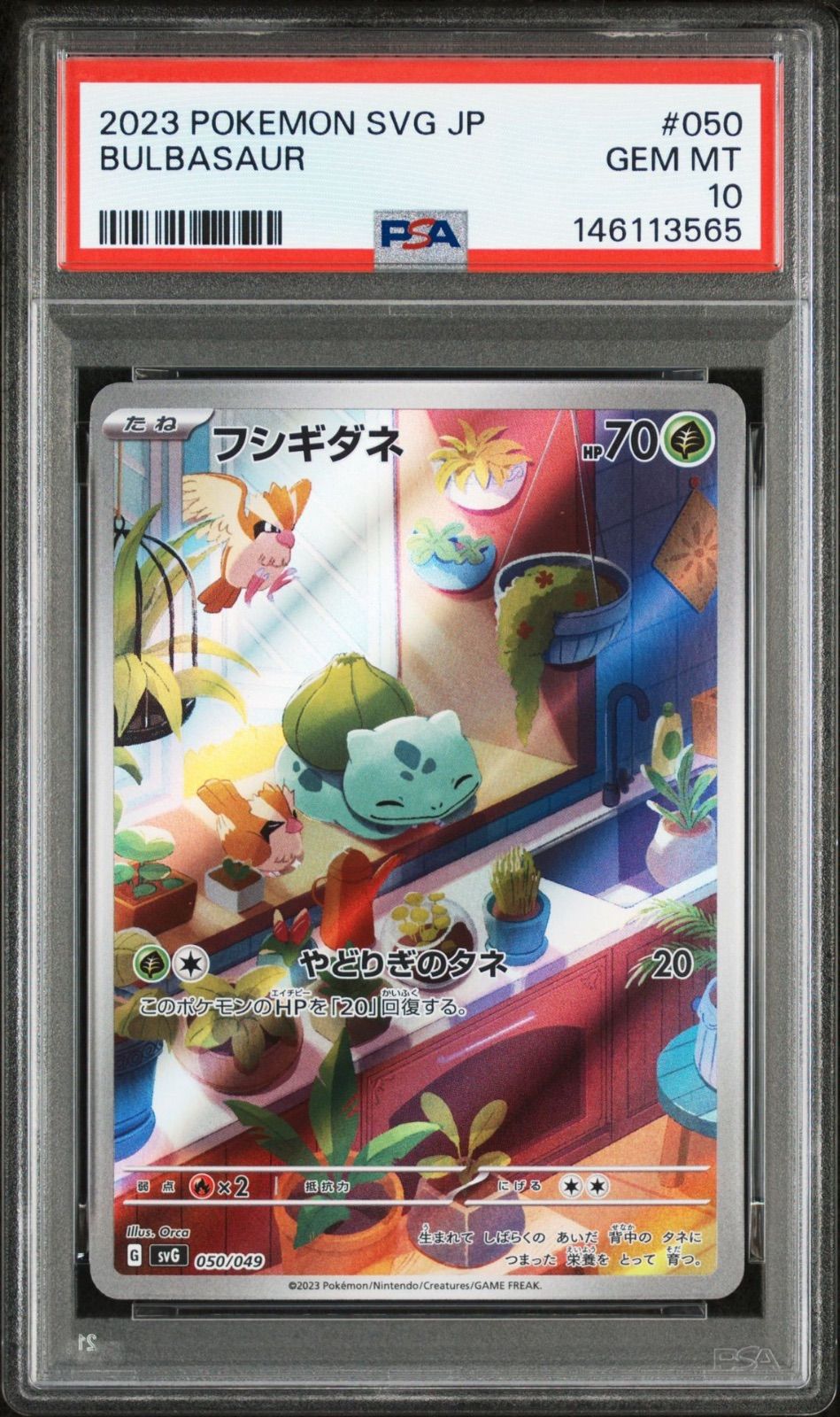 PSA10】 3連番 フシギダネ ヒトカゲ ゼニガメ AR スペシャルデッキ