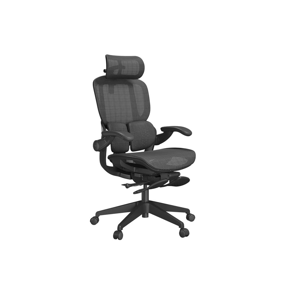 アクシスコアライトオフィスチェア デスクチェア 椅子 ハイバック エルゴノミクス 人間工学 ランバーサポート 3Dヘッドレスト 2Dアームレスト 135°リクライニング 通気性メッシュ デスクワーク 5年保証 ブラック |