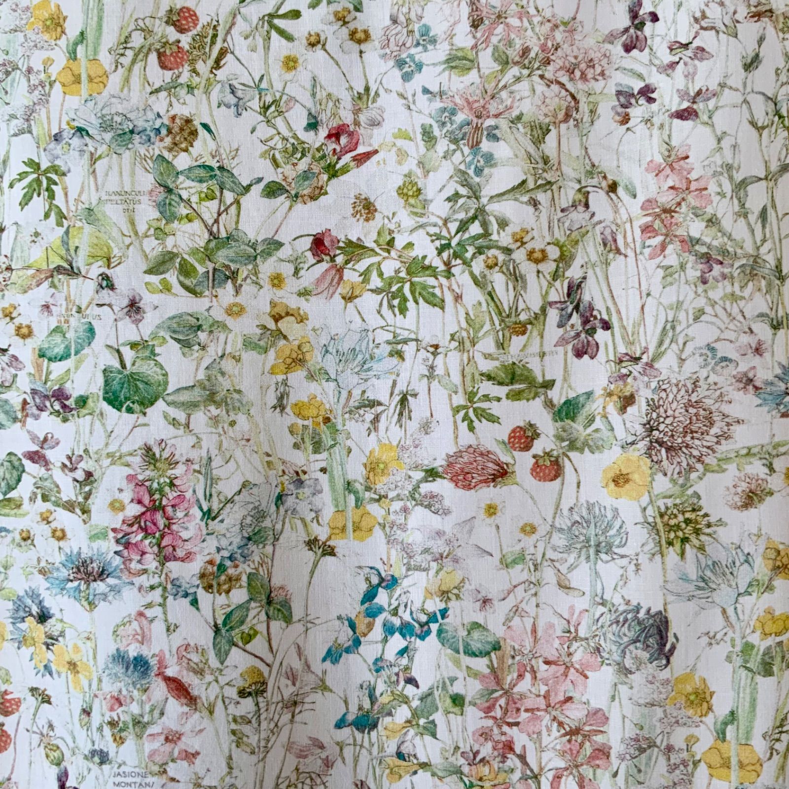 【Parkes】パークス　リバティ　花柄ワンピース　綿　コットン　M Parkes パークス】 リバティ Wild Flowers ワイルドフラワーズ柄