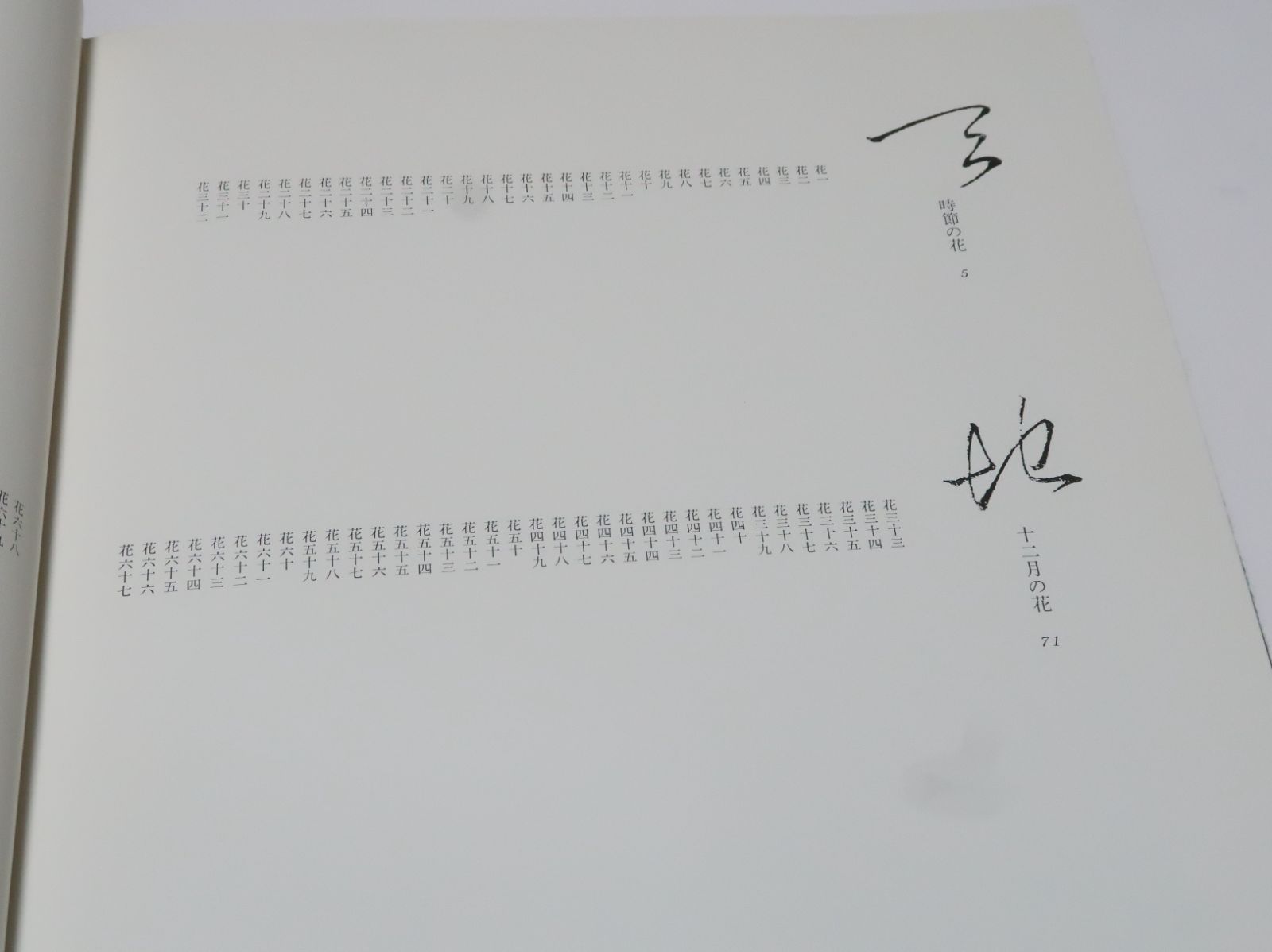 岡田幸三いけばな集・花の風興/定価29000円/限定980部/矢部霽月先生に