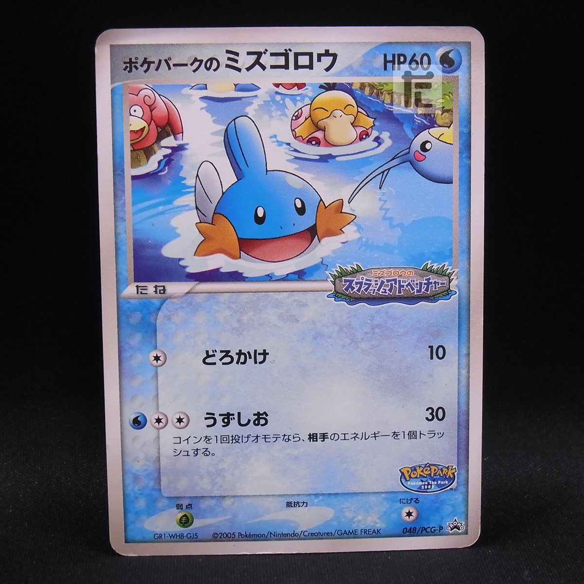 PROMO ポケパークのミズゴロウ 048/PCG-P / TA24215 - メルカリ