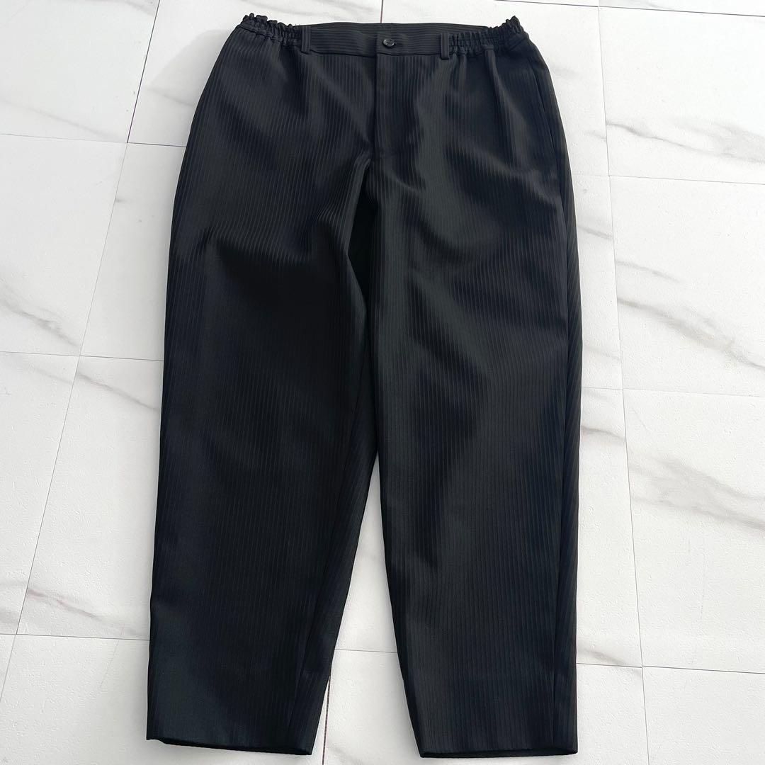 COMME des GARCONS 24SS Like New pants M