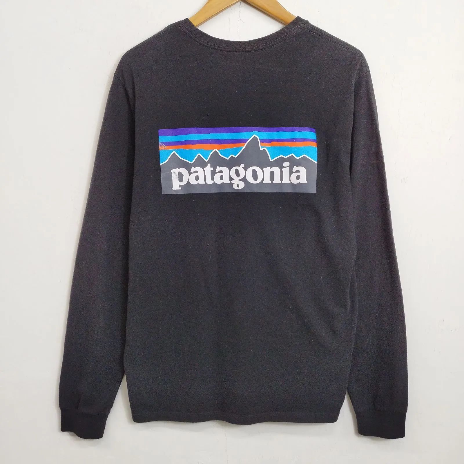 patagonia パタゴニア P-6ロゴ ロンT 長袖 両面 ロゴ プリント
