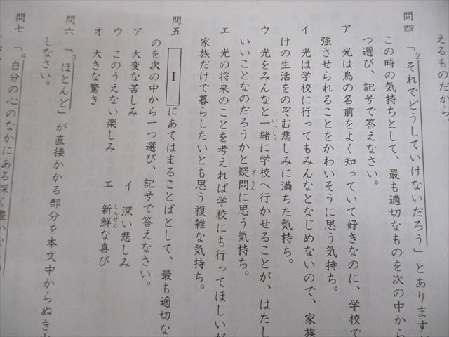 本 サピックス 国語 志望校別特訓教材 慶應普通部対策