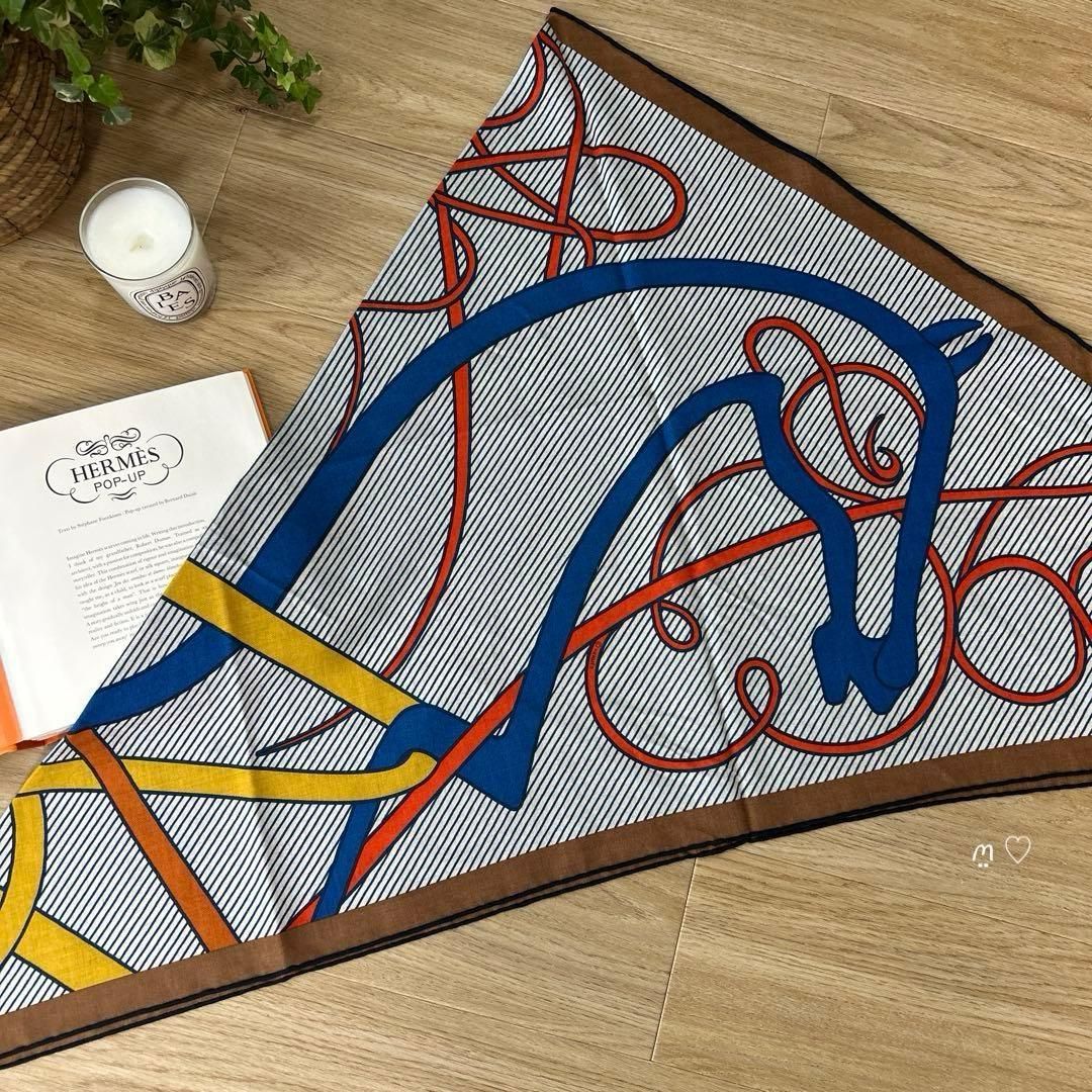 HERMES エルメス トライアングルカレジュアン 鞭シュミーズ カシシル