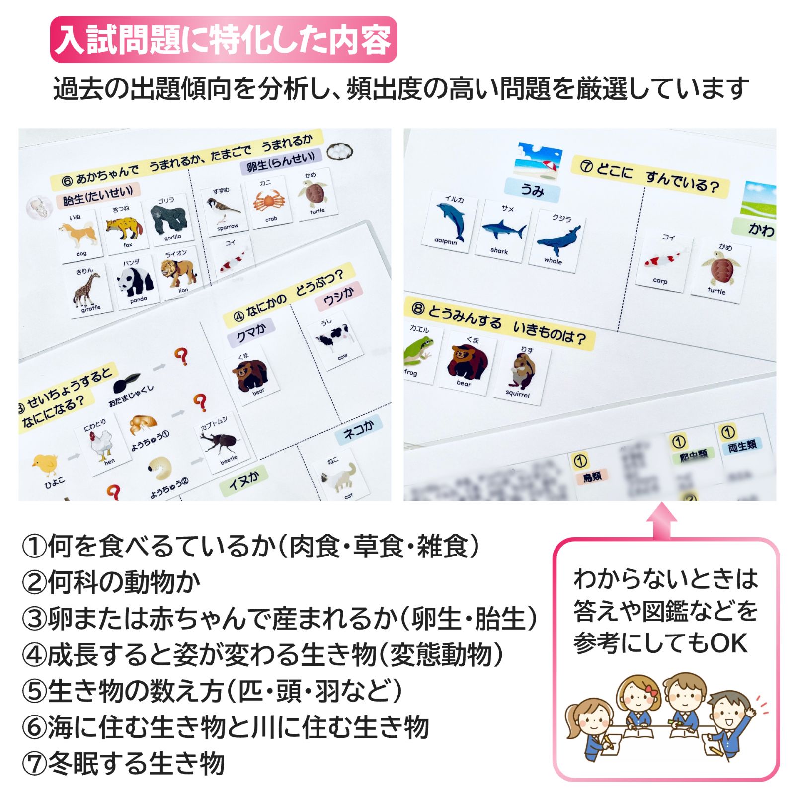 小学校受験マスター 教材セット 季節 野菜 動物 生き物 昆虫 花 理科的 