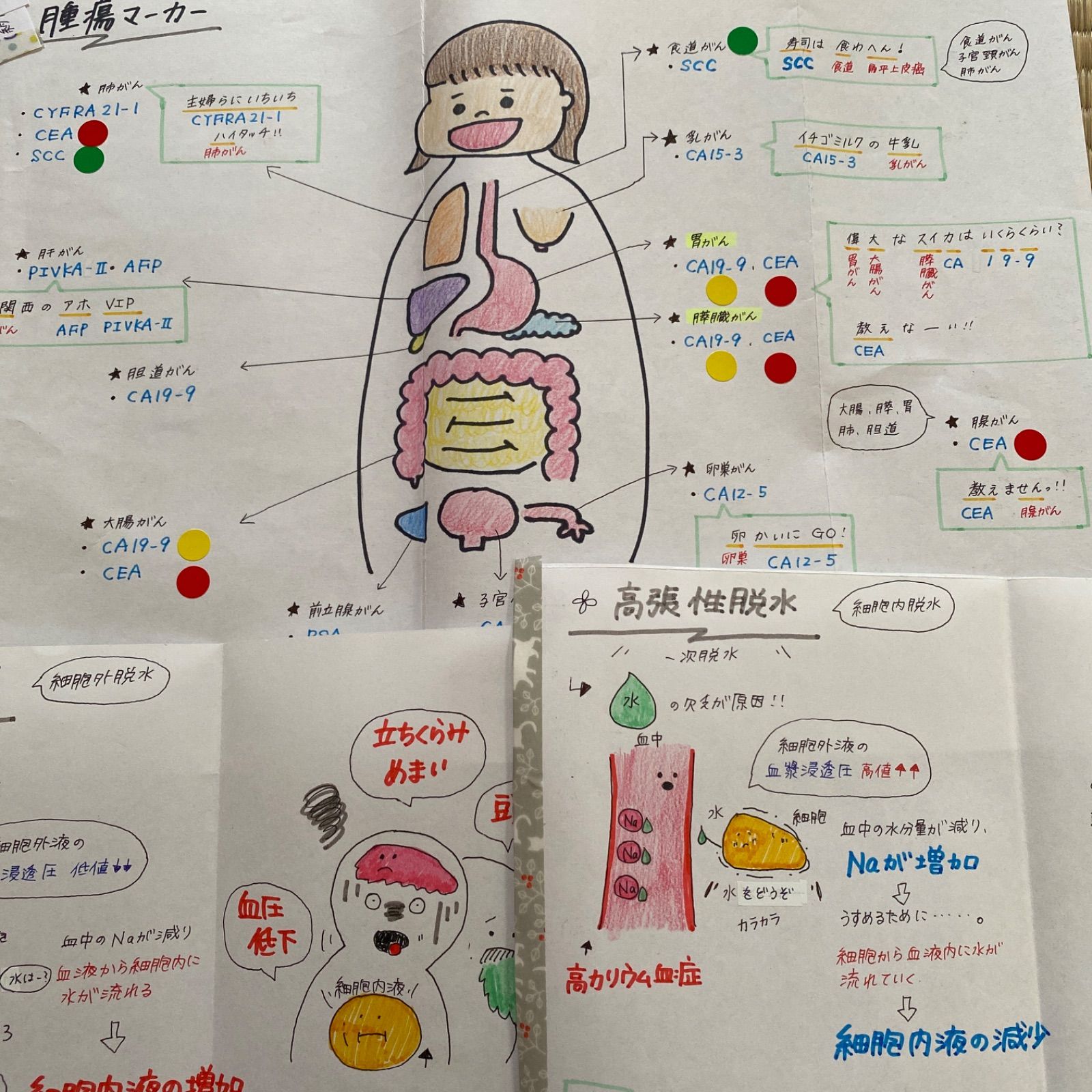 看護師国家試験対策 国試対策 国試ノート - メルカリ